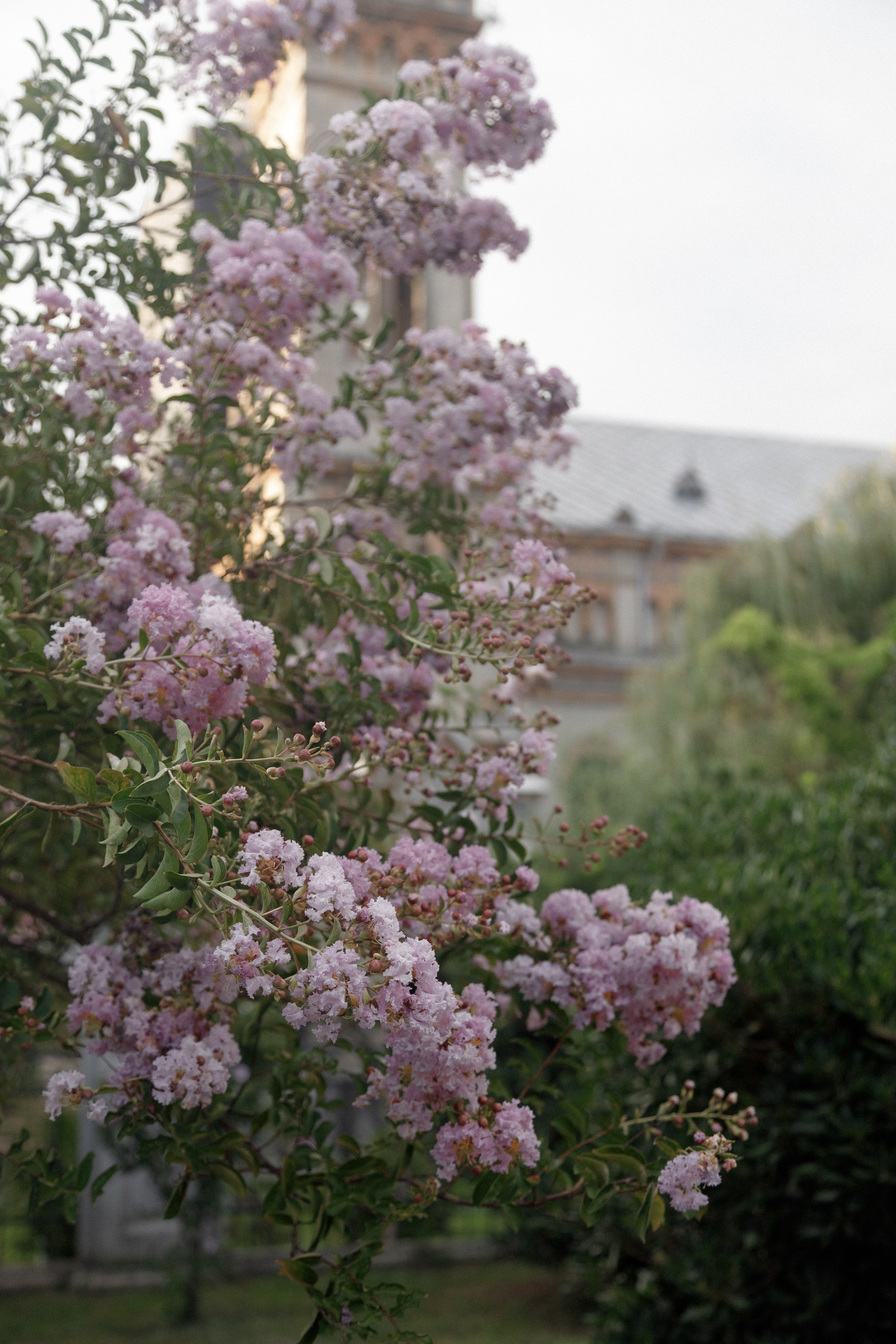 Европейская свадьба в Грузии