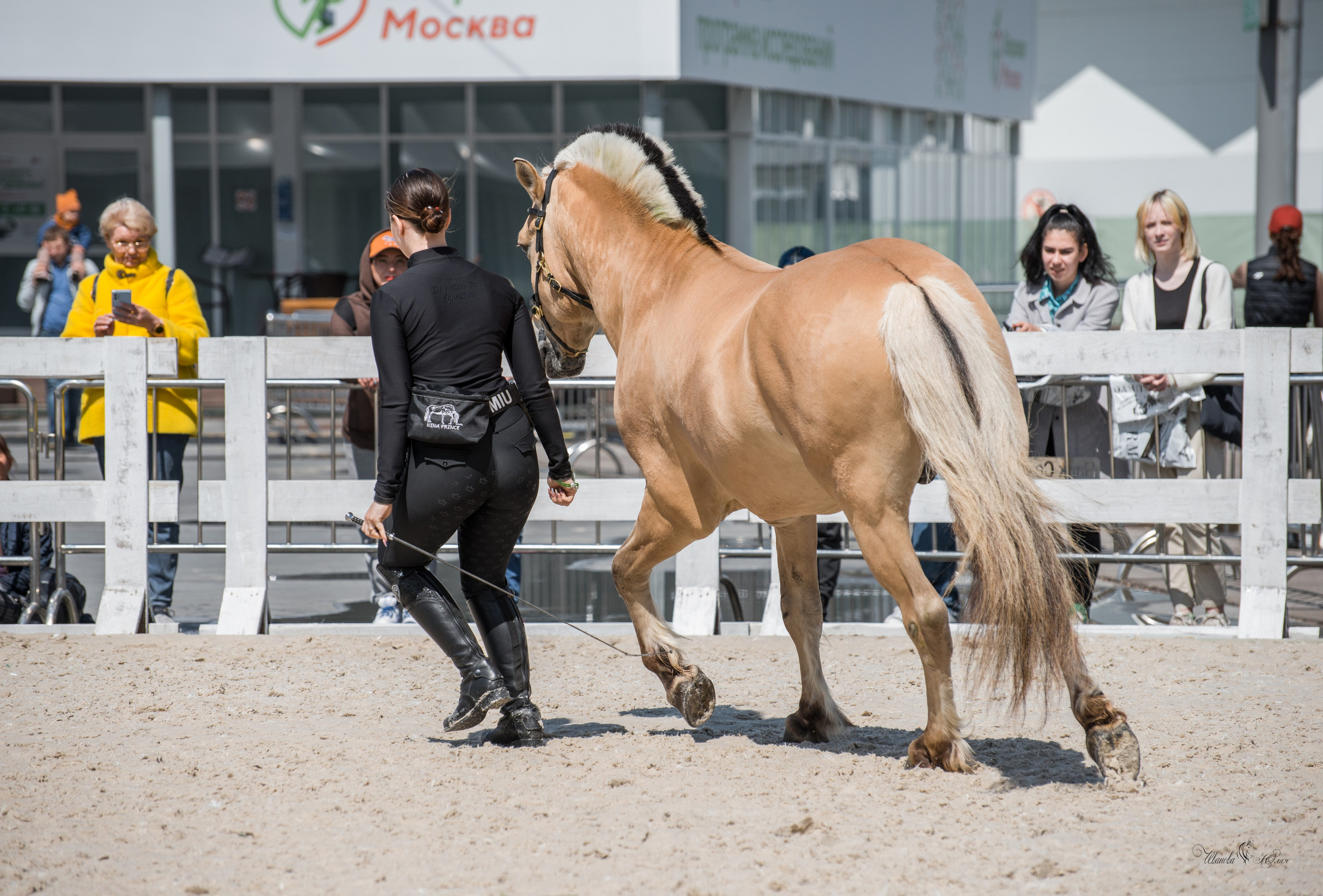 Эквирос, Москва. Конный фотограф в Саратове Юлия Иванова