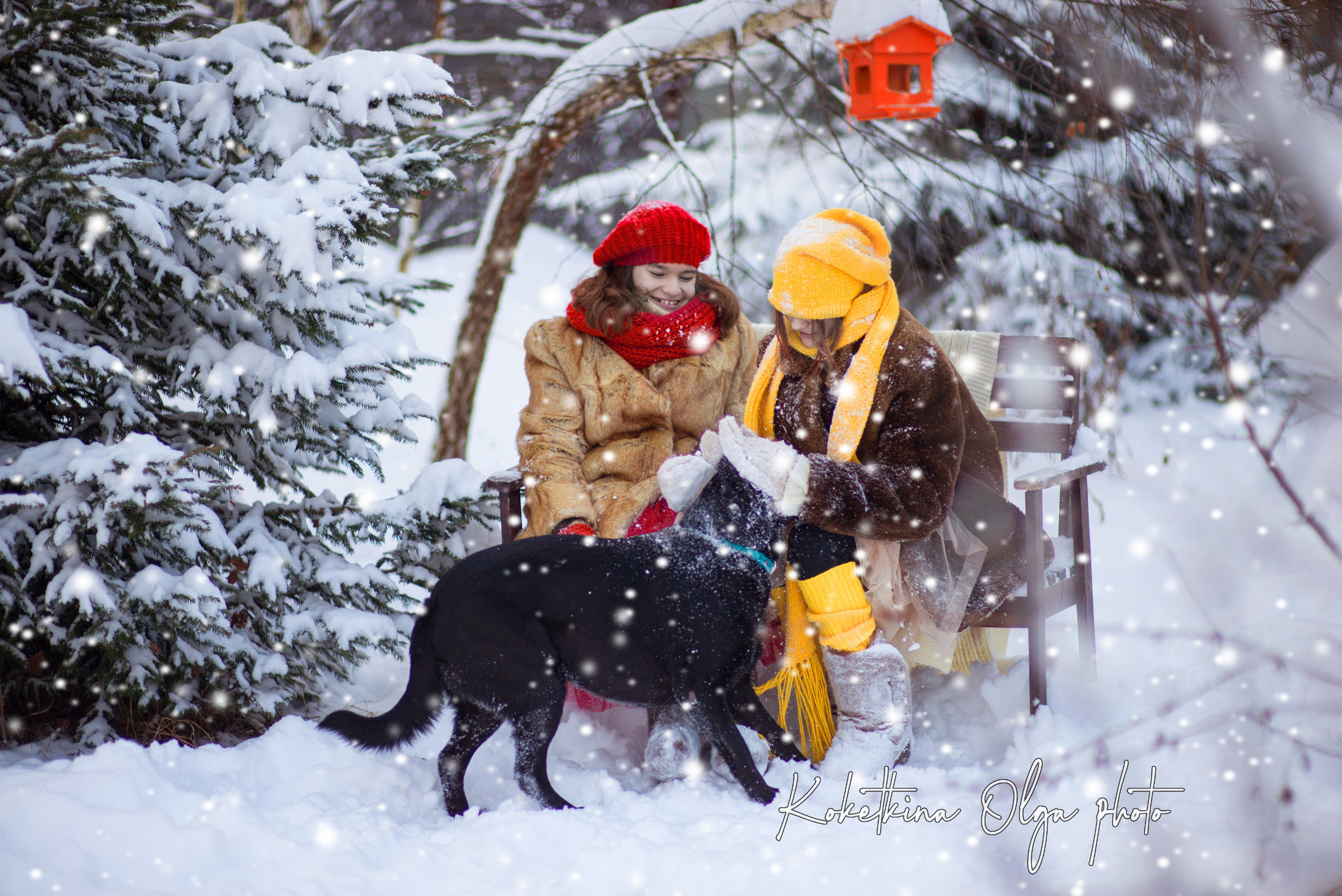 Зимнее настроение. Фотограф Москва — Серпухов — Таруса Ольга Кокеткина