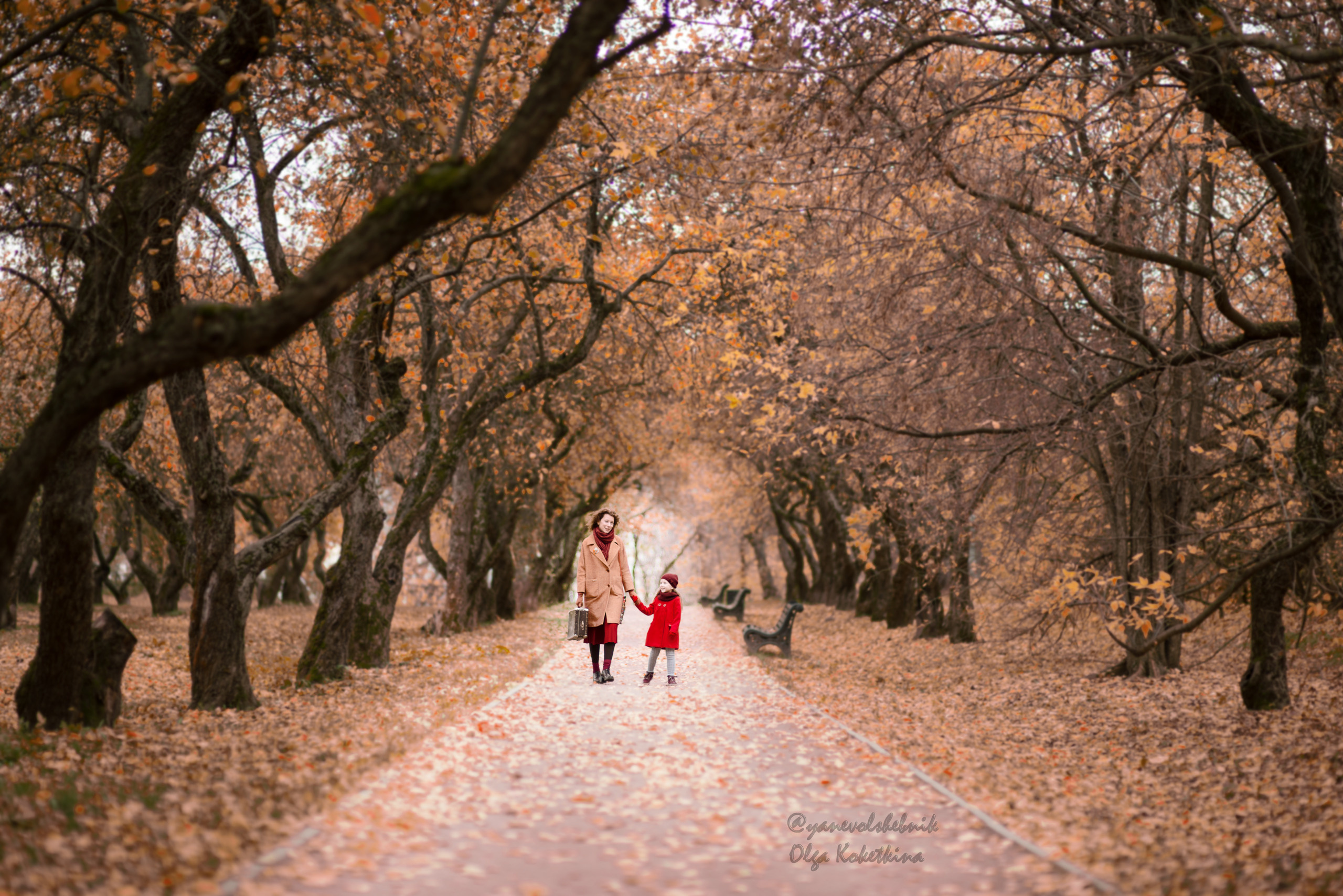 Таисия (Коломенское). Фотограф Москва — Серпухов — Таруса Ольга Кокеткина