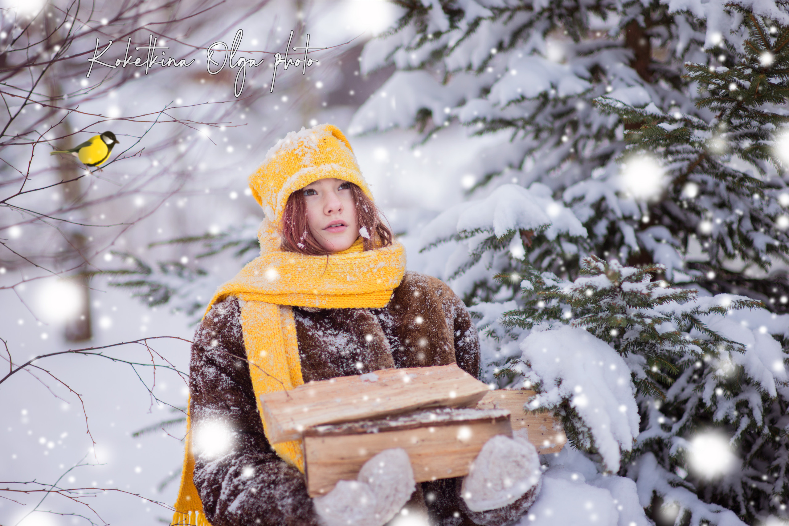 Зимнее настроение. Фотограф Москва — Серпухов — Таруса Ольга Кокеткина
