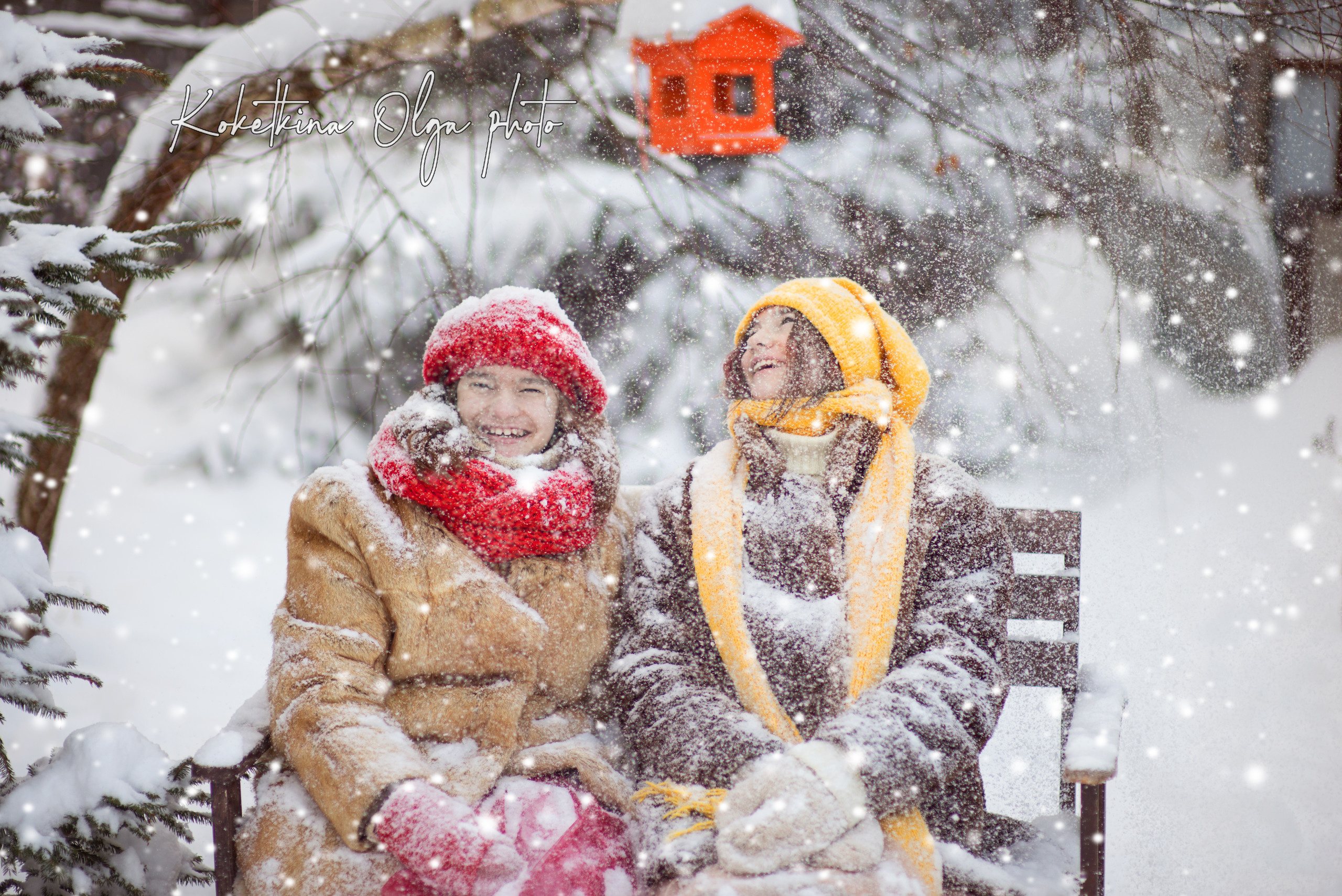 Зимнее настроение. Фотограф Москва — Серпухов — Таруса Ольга Кокеткина