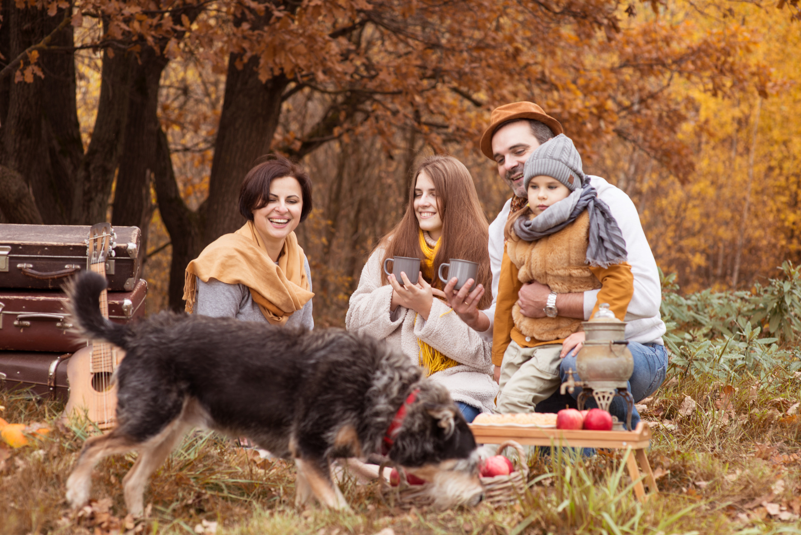 Осенний пикник. Фотограф Москва — Серпухов — Таруса Ольга Кокеткина