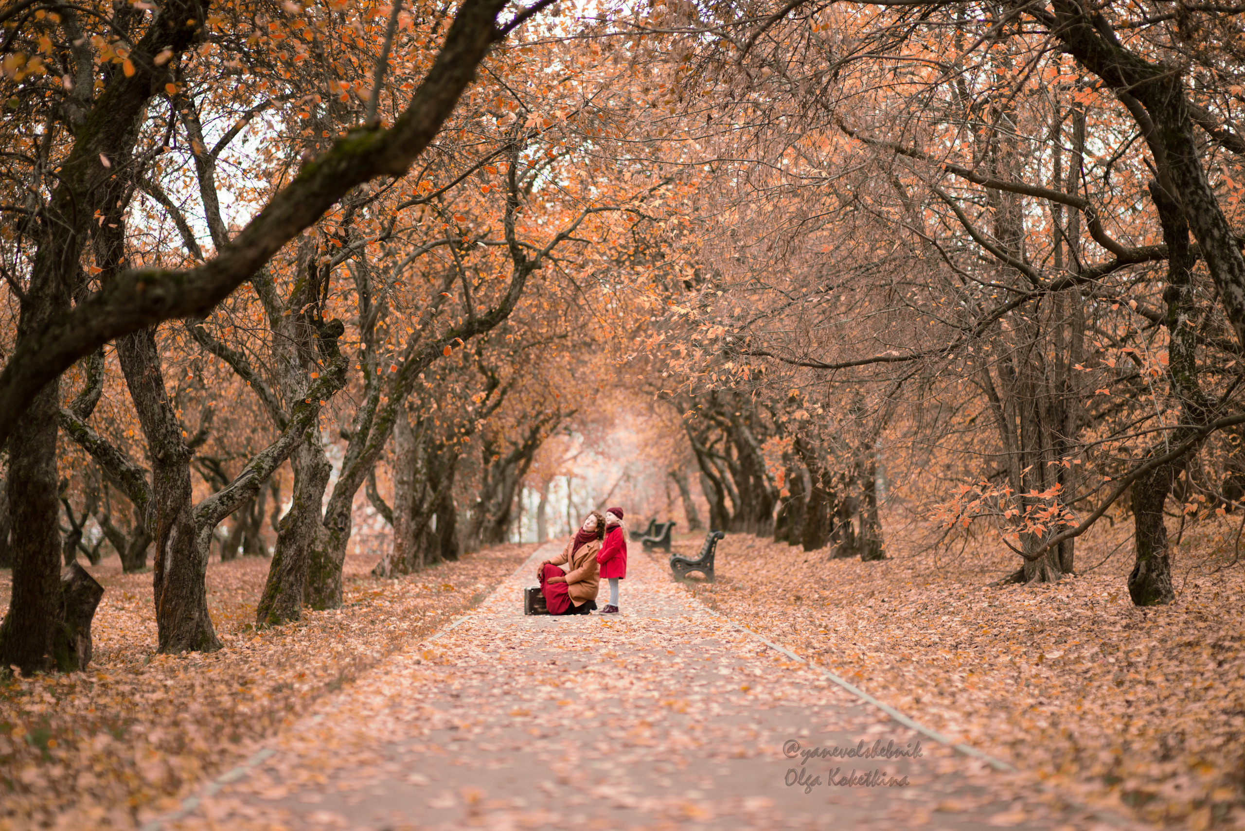Таисия (Коломенское). Фотограф Москва — Серпухов — Таруса Ольга Кокеткина