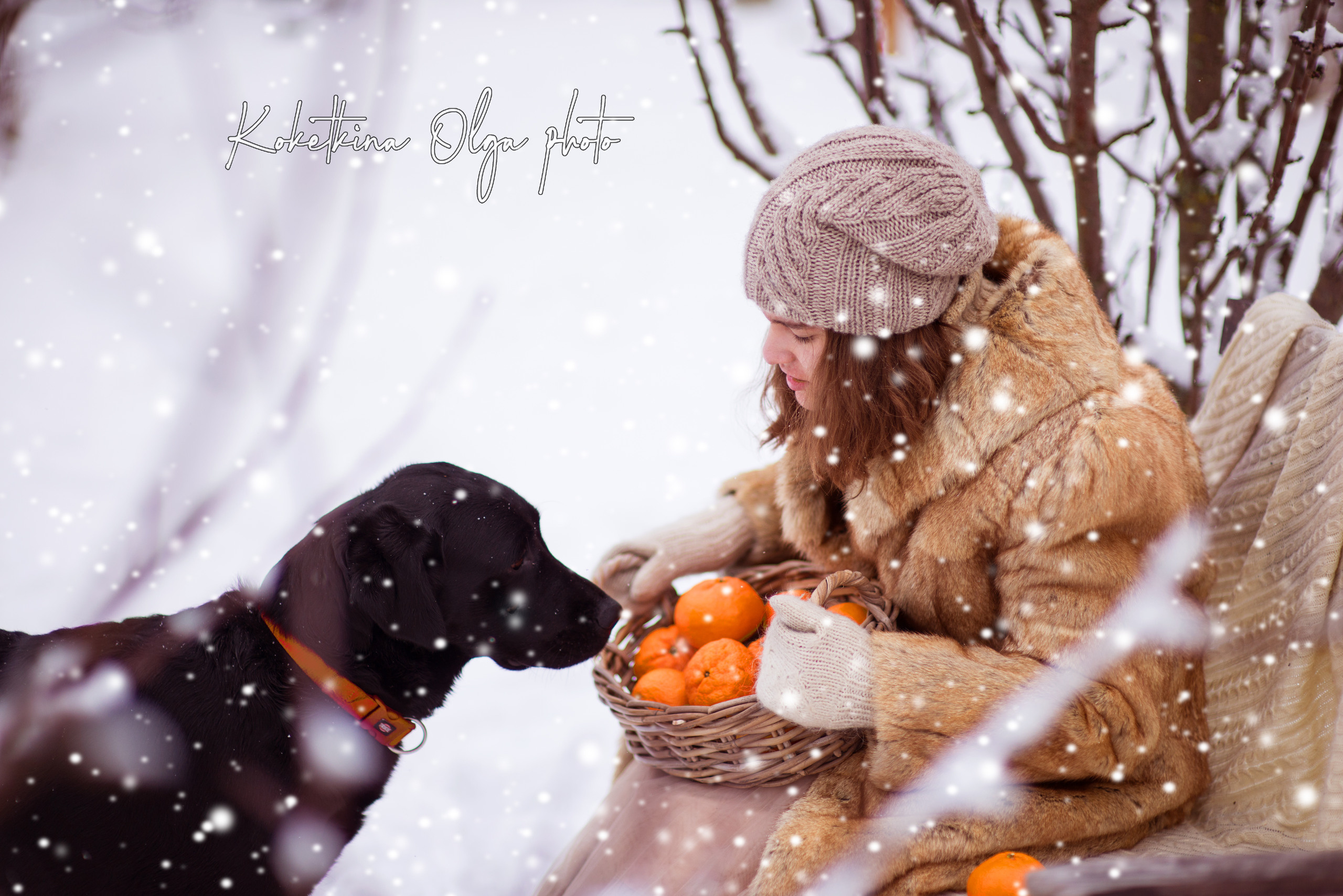 Зимнее настроение. Фотограф Москва — Серпухов — Таруса Ольга Кокеткина
