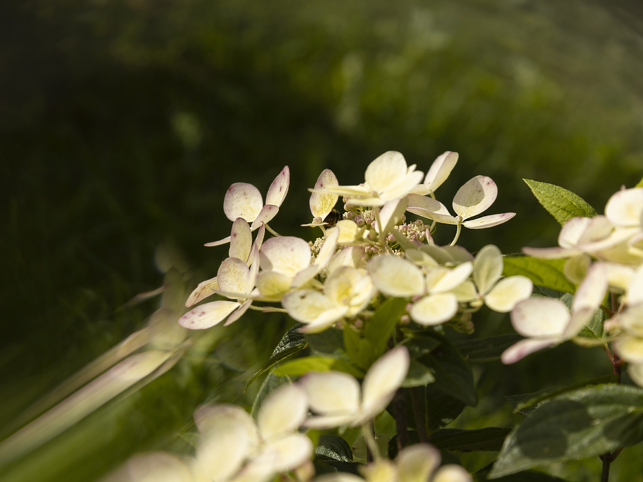 Ростов-на-Дону «МИР В ДЕТАЛЯХ». ARTEXPOPHOTO