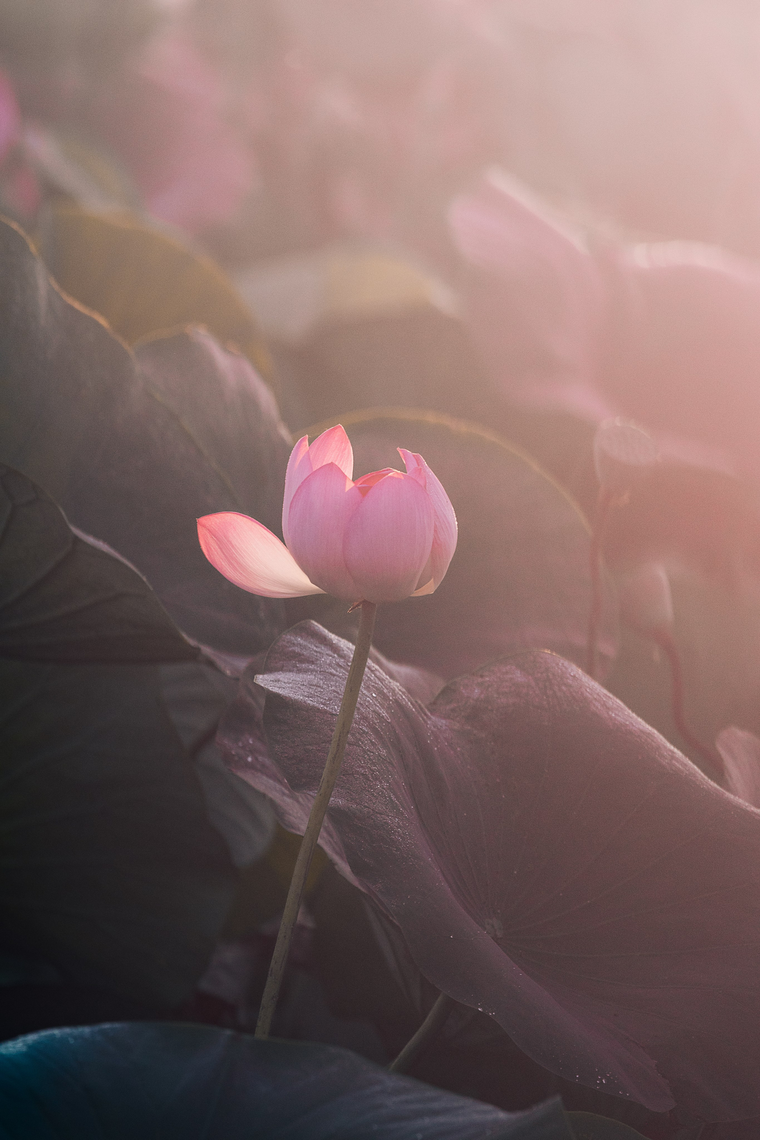 Астраханская область 2025 | Фотограф Дмитрий Купрацевич. Дмитрий Купрацевич профессиональный пейзажный и travel-фотограф