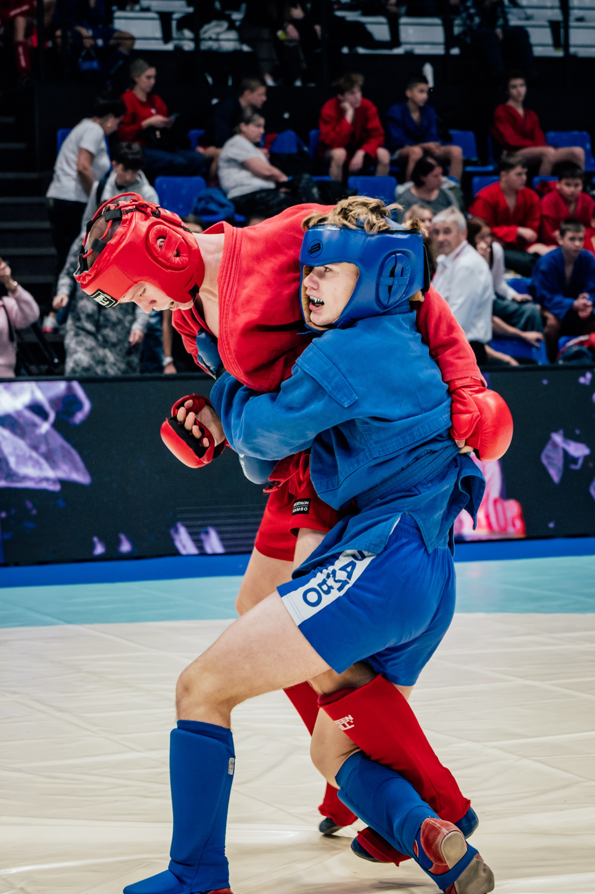 Турнир по самбо ЮФО