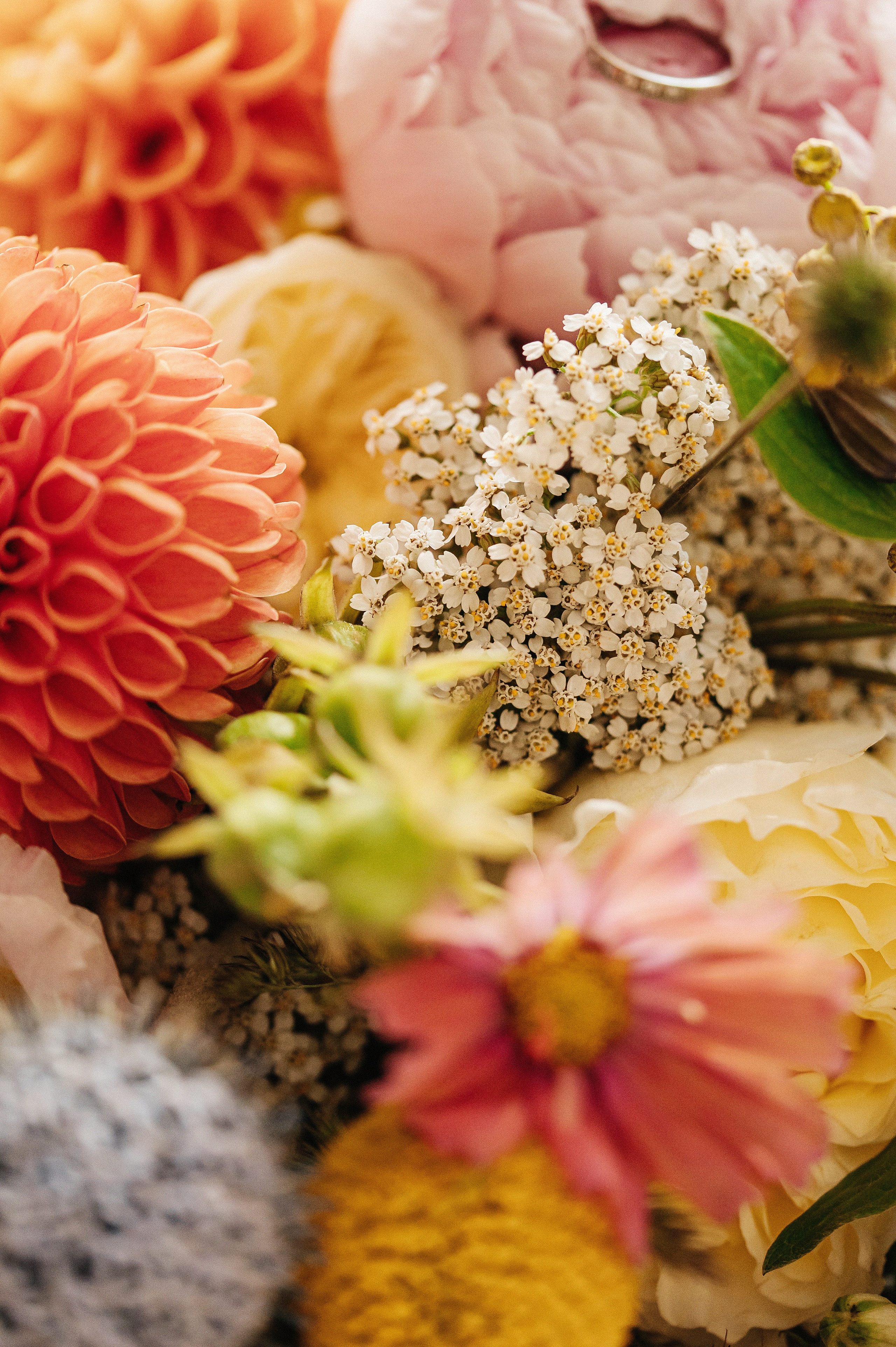 ANONS. Мария — Свадебный фотограф