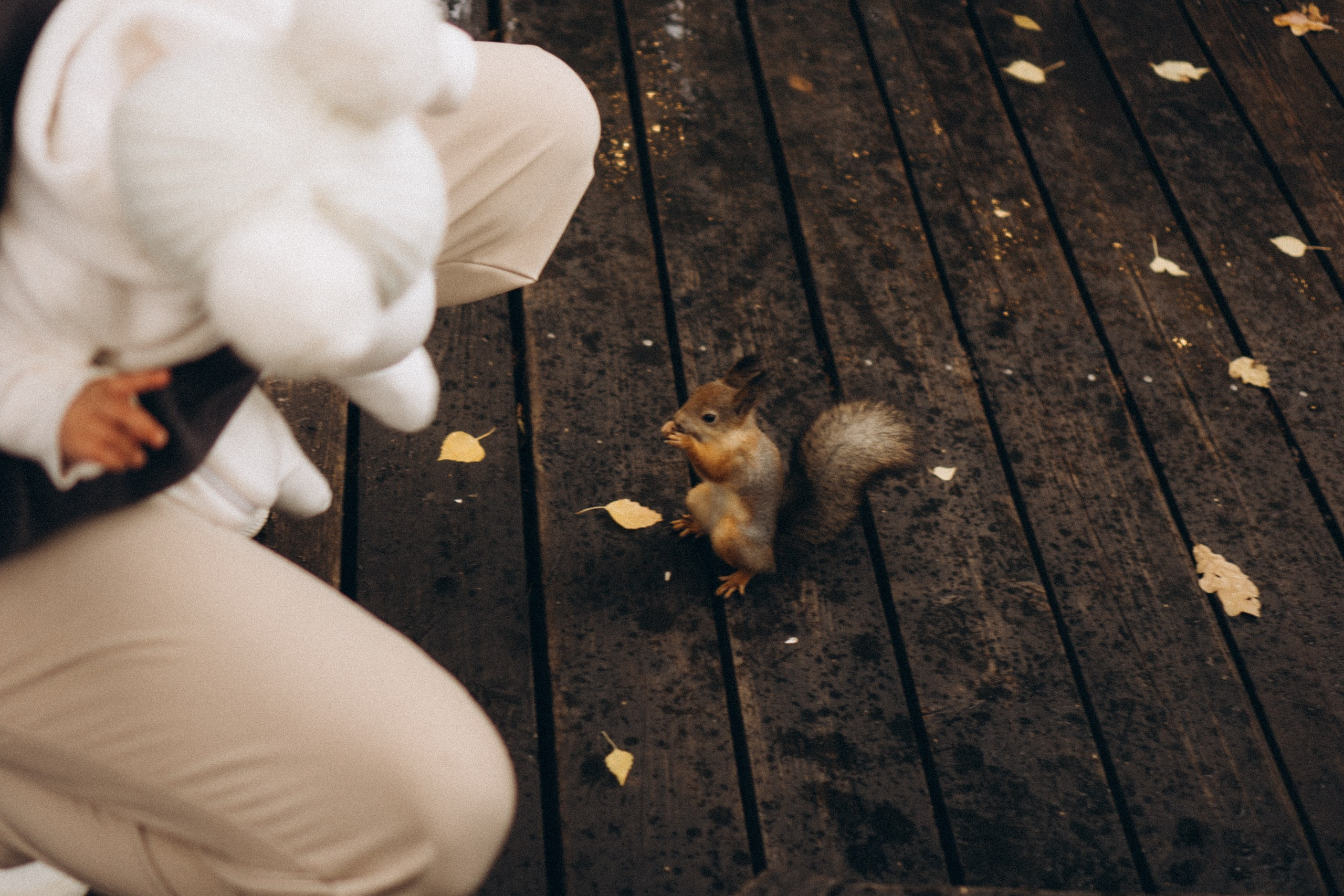 День рождения малышки. Профессиональный фотограф, Санкт-Петербург — Виктория Богомолова