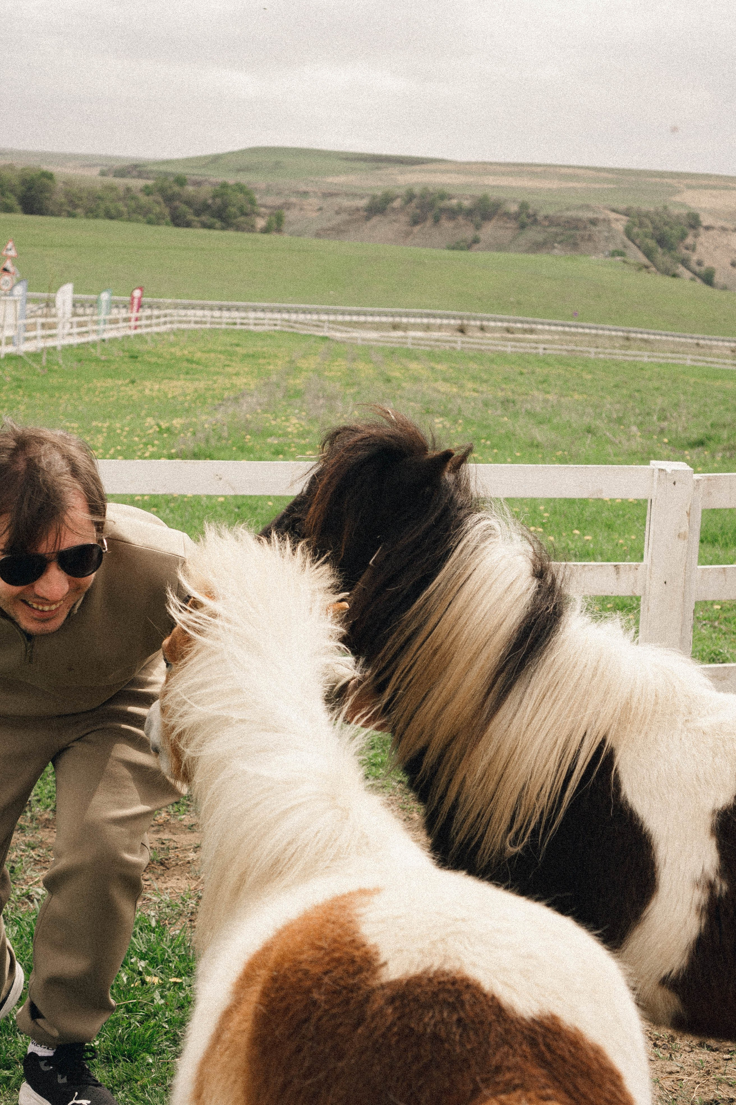 Ферма Альпак. Профессиональный фотограф, Санкт-Петербург — Виктория Богомолова