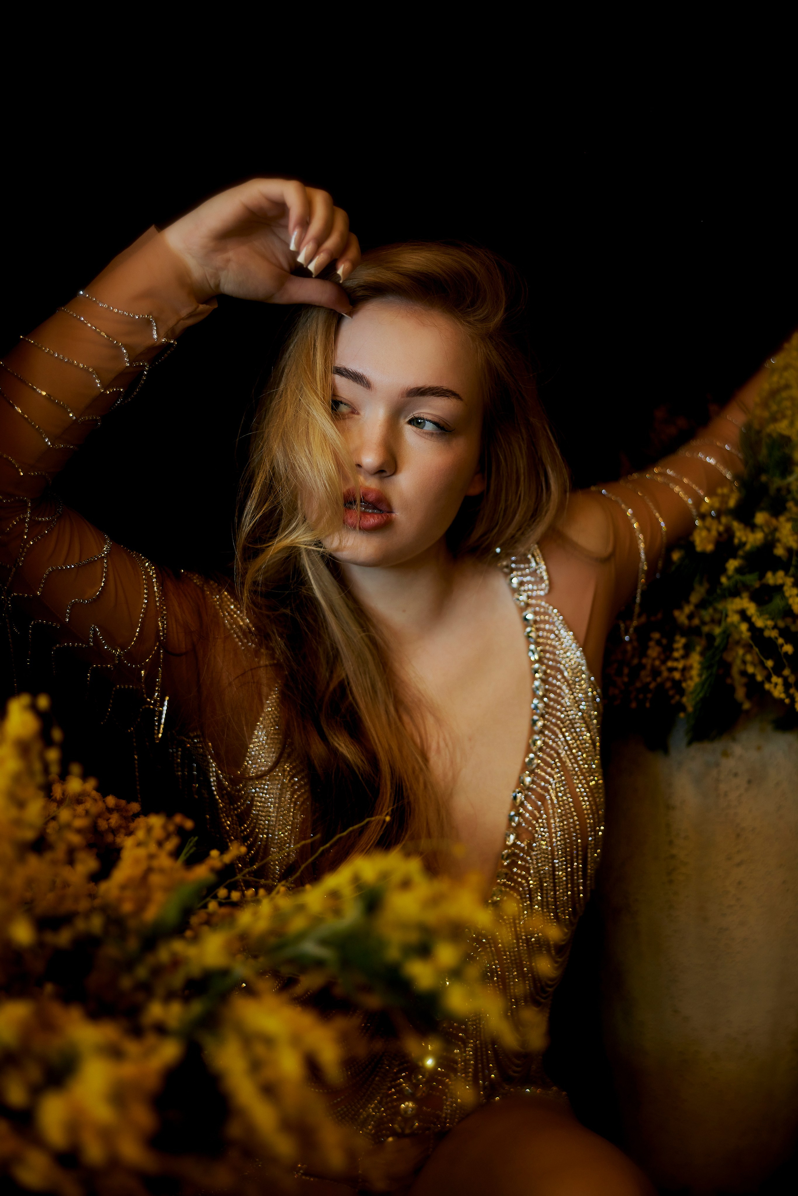 Мимоза 2. Сергей Ирклиенко