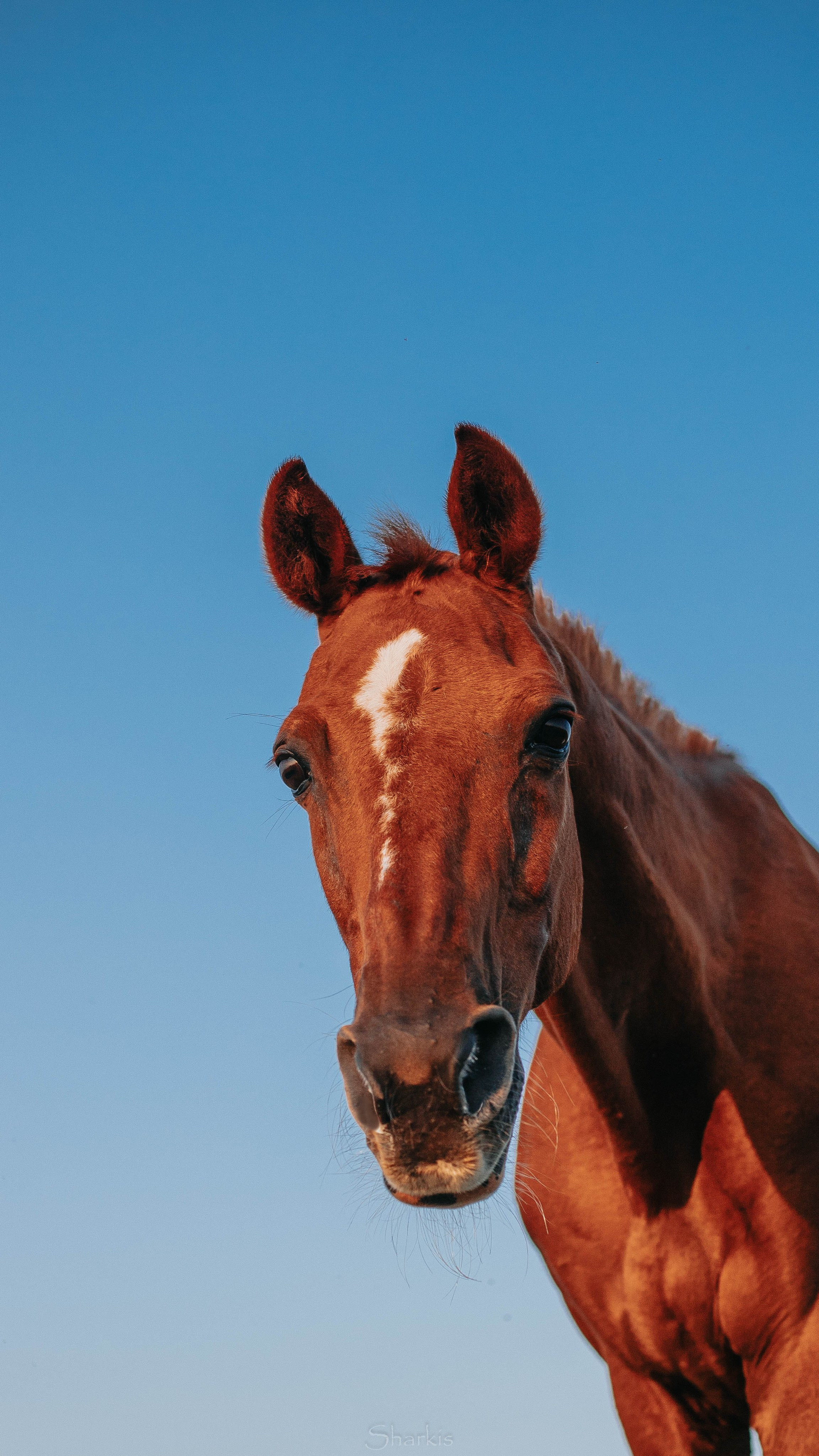 Аня и Гас. Главная