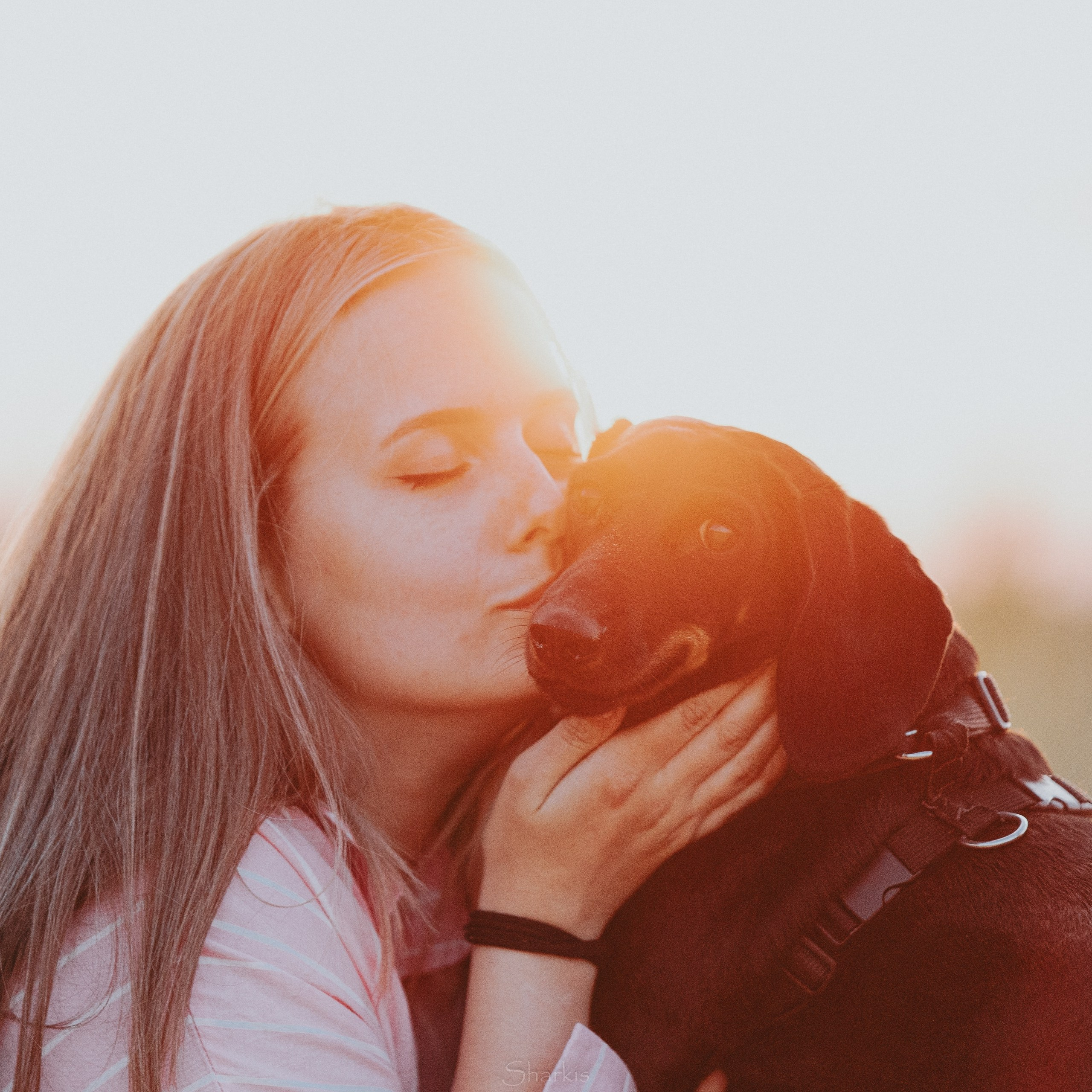 Аня и Алиса. Главная