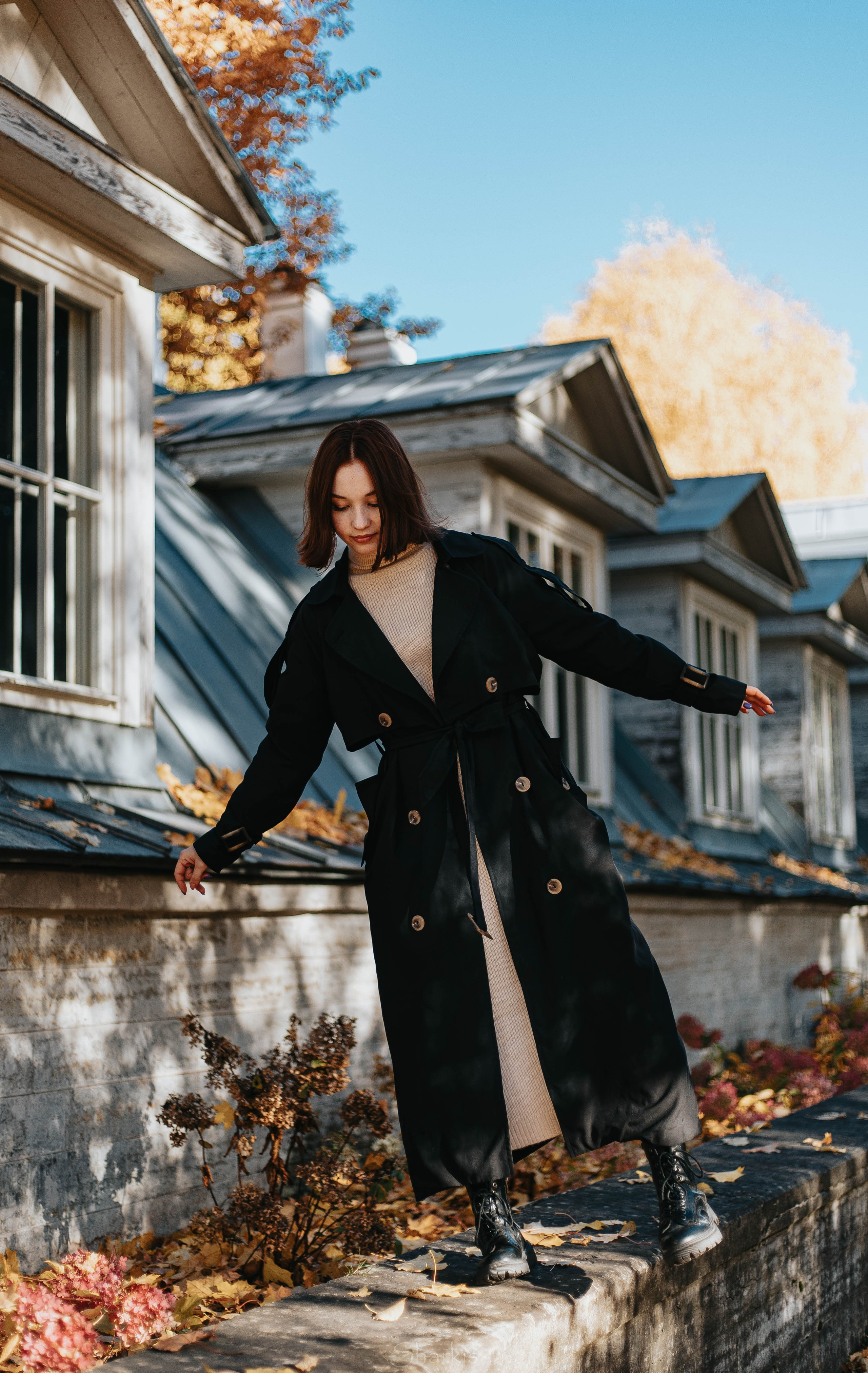 Света. Главная