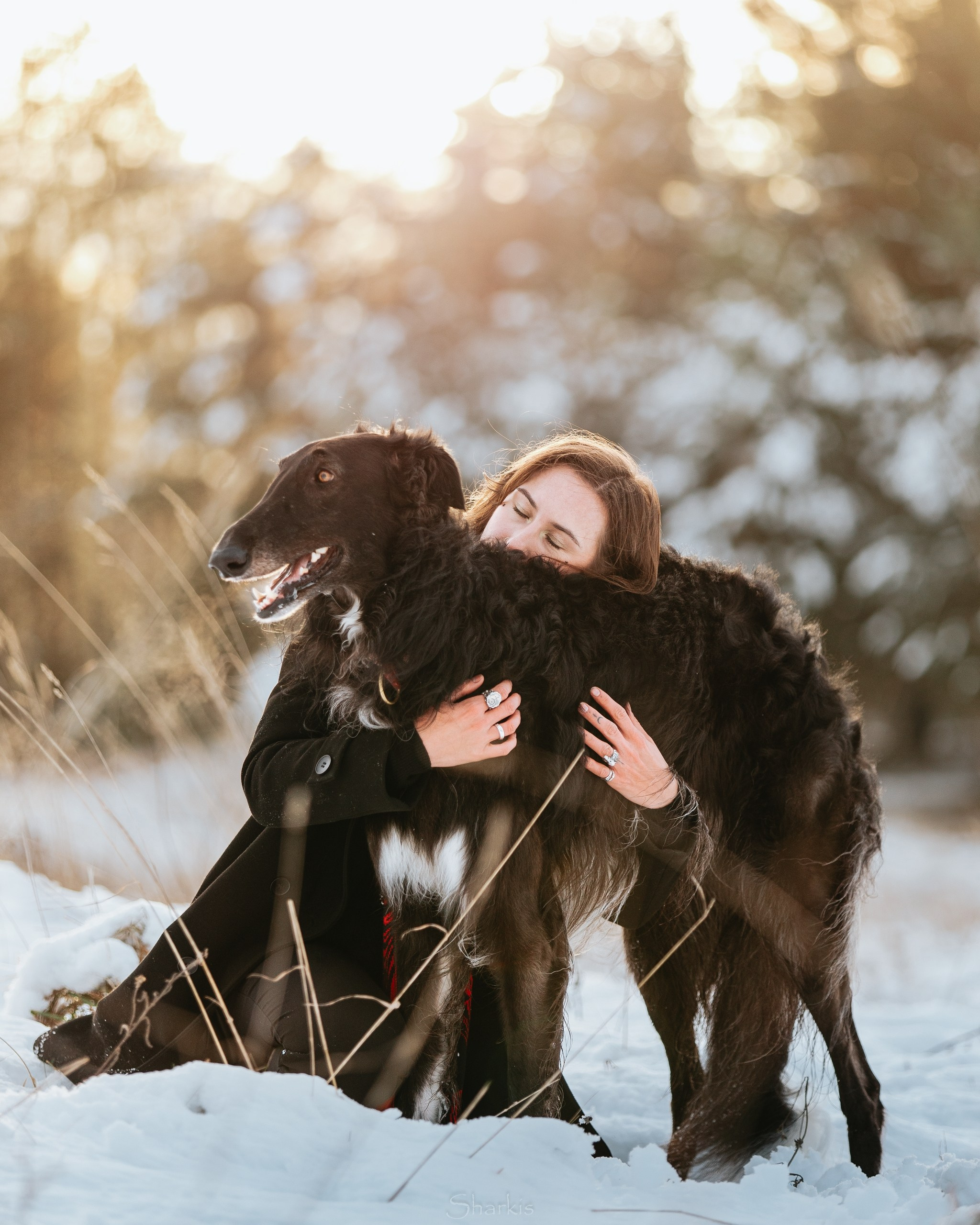 Катя и Гримм. Главная