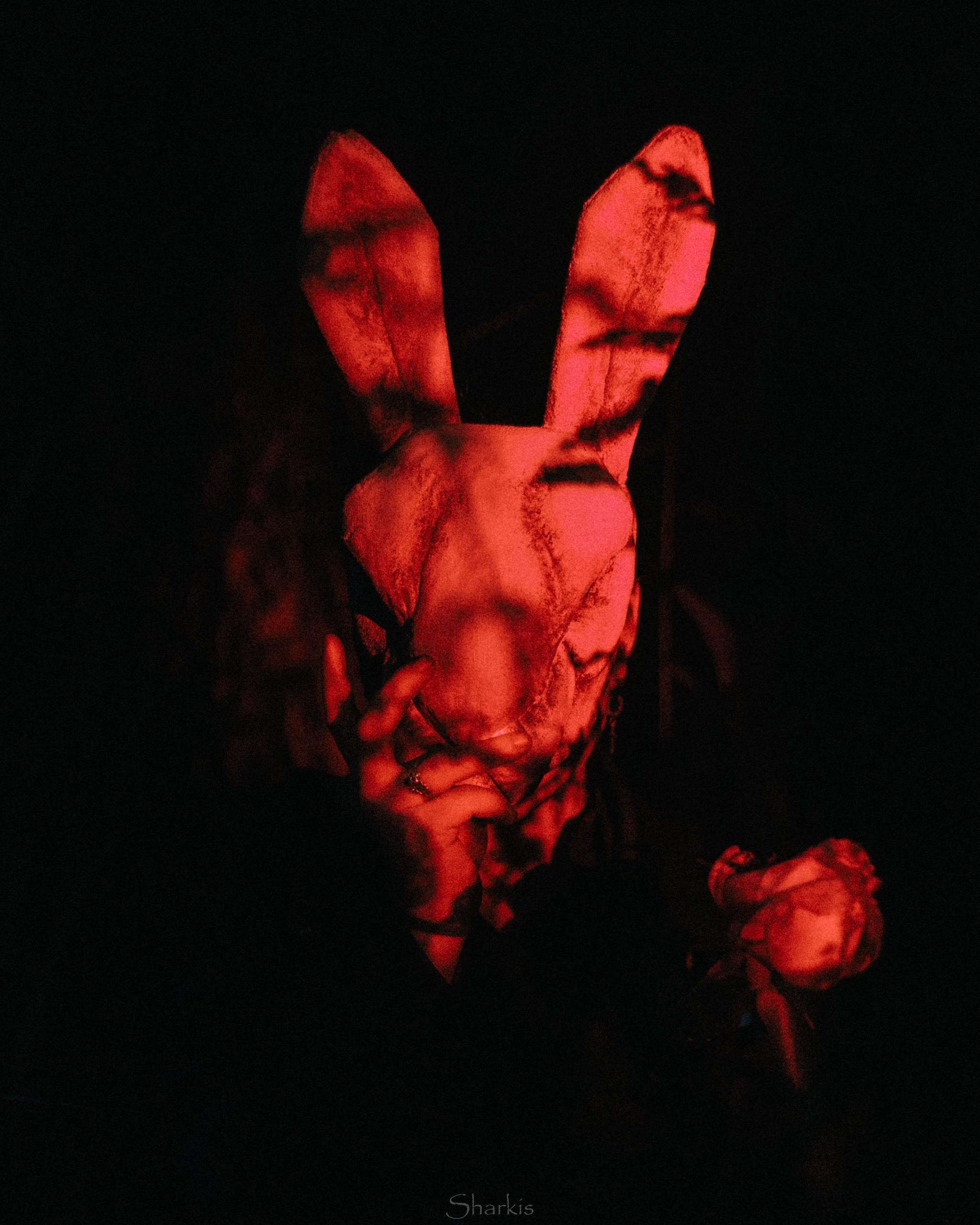 Алина. Главная