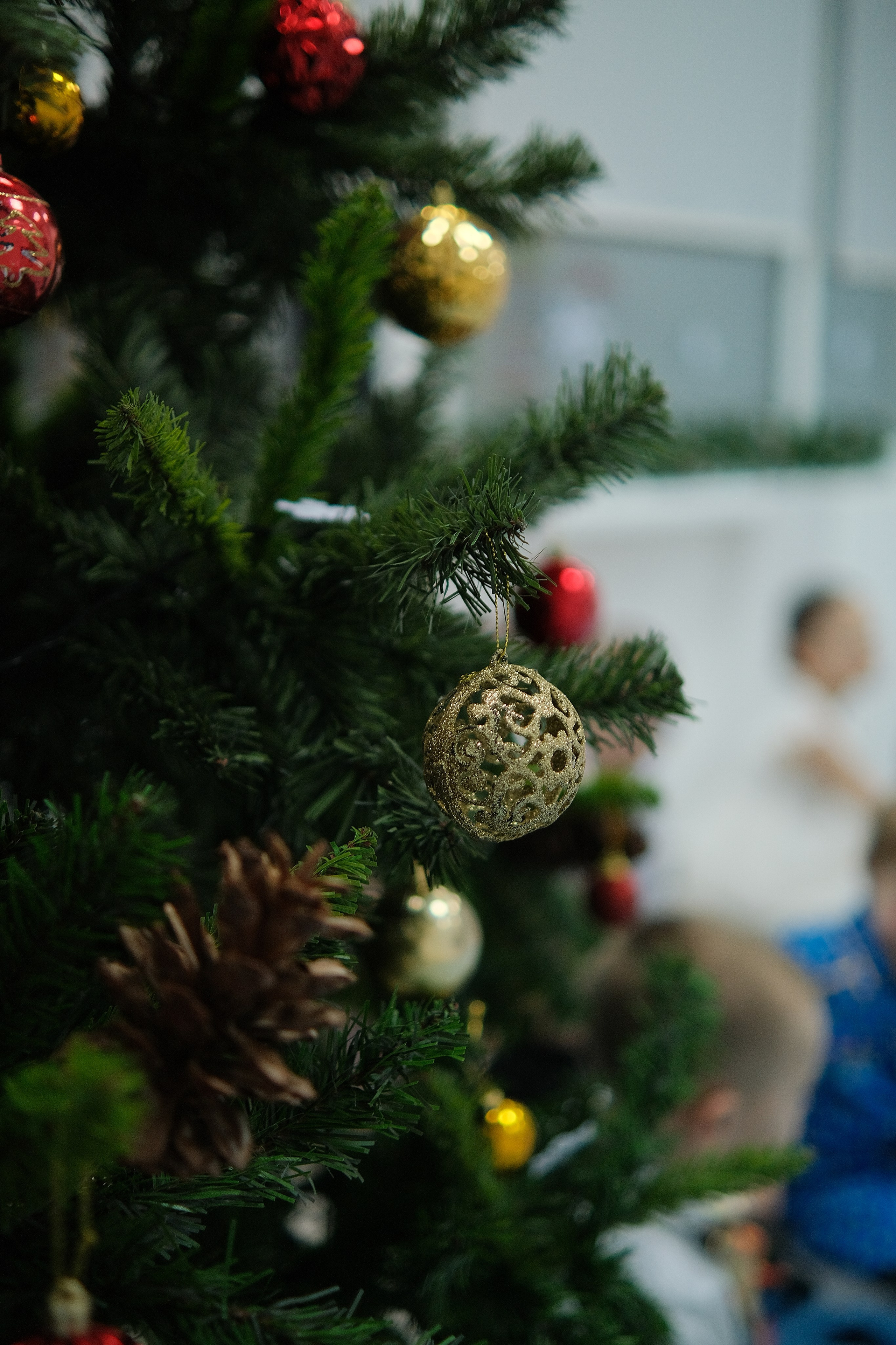 Мир знаний (Новогодний утренник). Serg_film