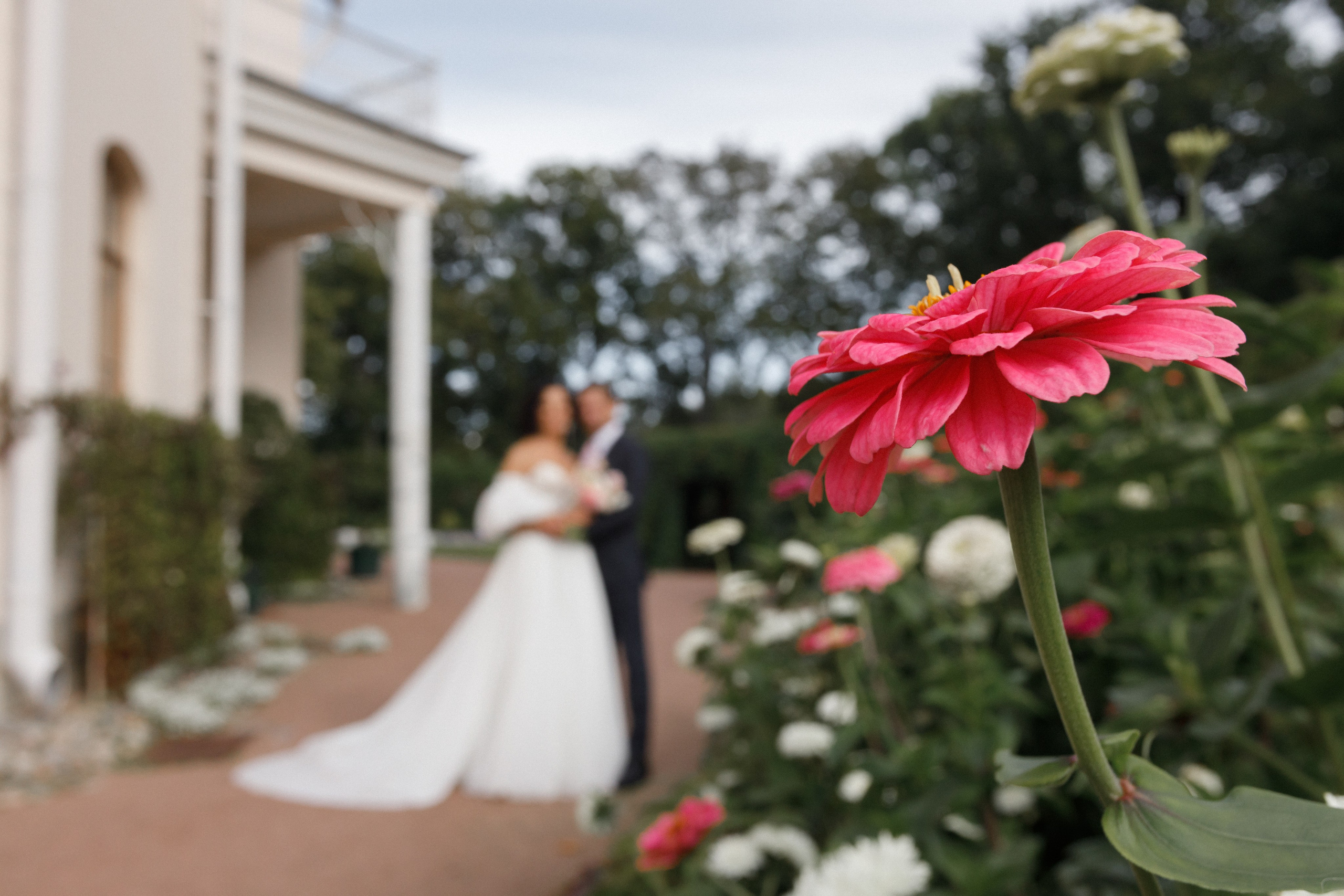 Виктор и Светлана. Свадебный и репортажный фотограф в Санкт-Петербурге Николай Голованов