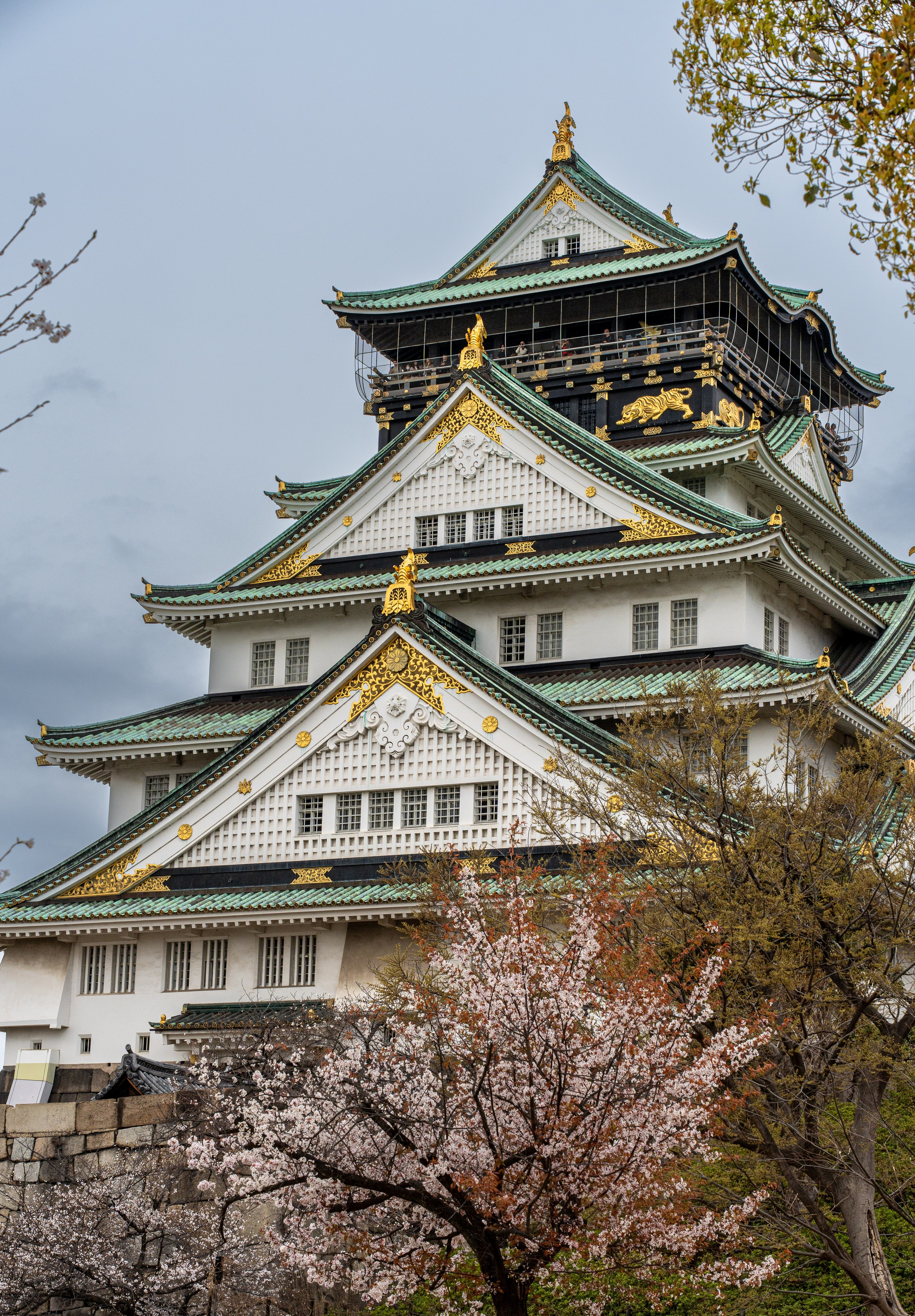 Япония, сакура. Творческие сьемки