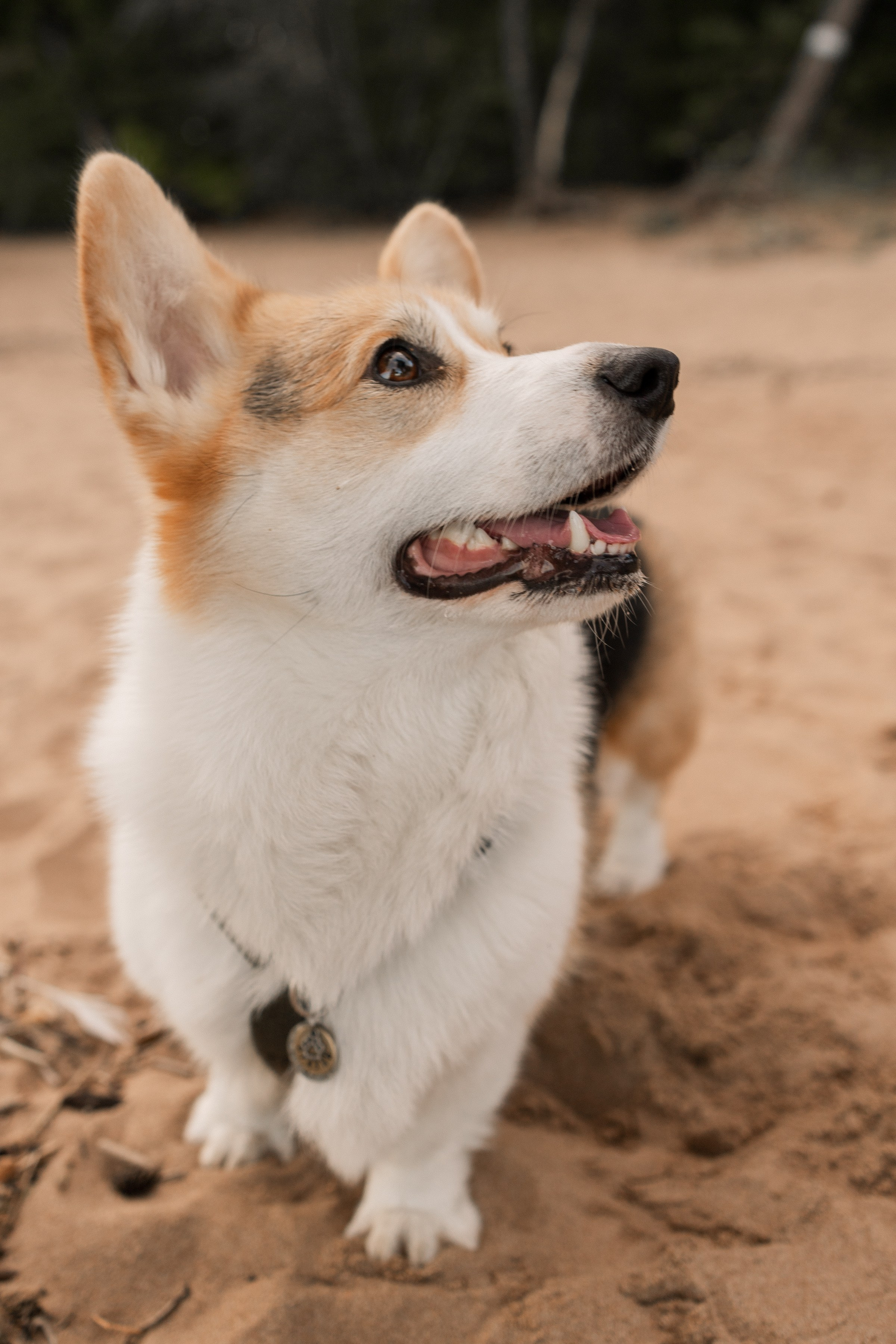 Любовь на Заливе. Портретный фотограф СПб, женский фотограф, минимализм и эстетика