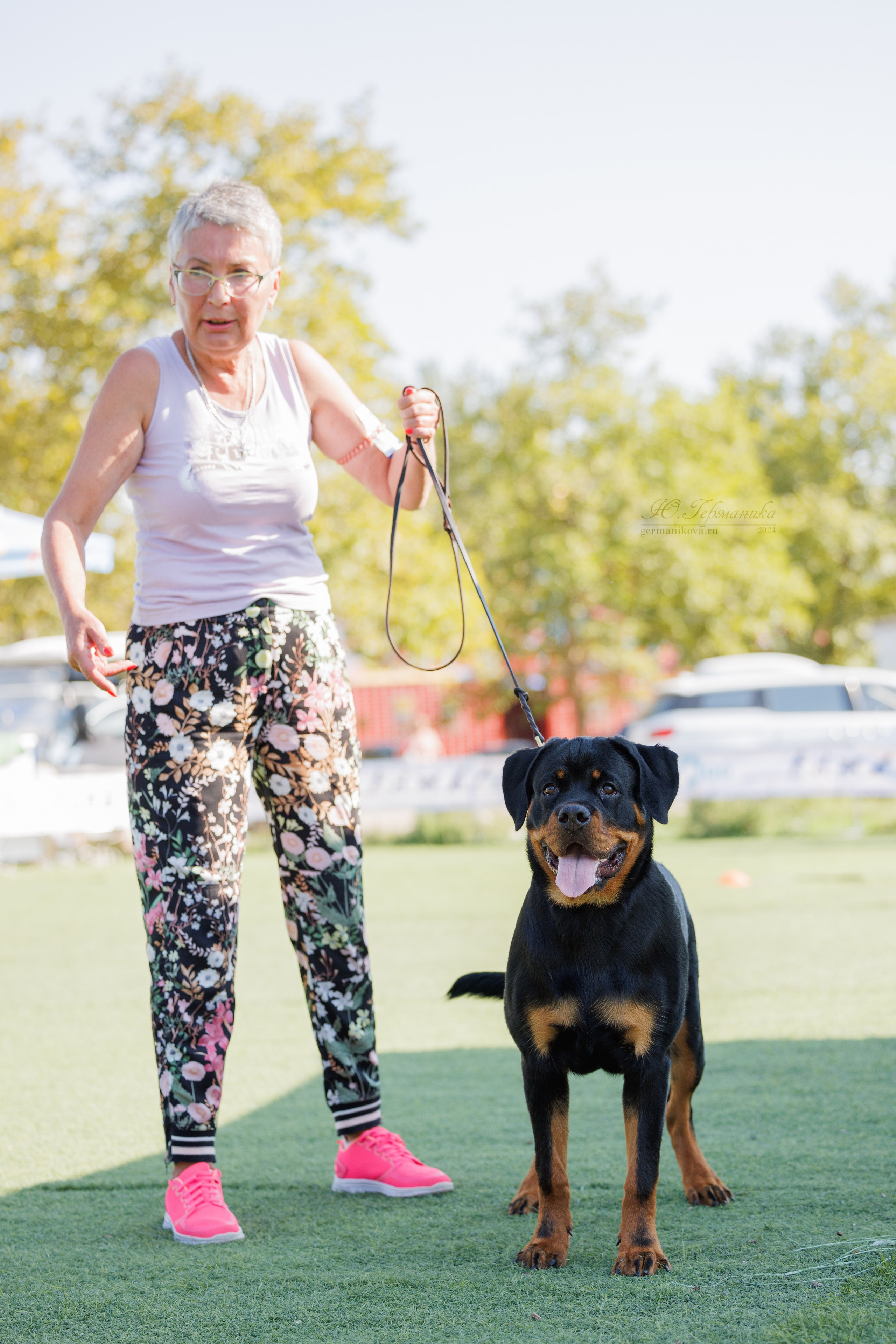 Анапа ротвейлеры 14-15.09.2024. Фотограф-анималист Юлия Германика