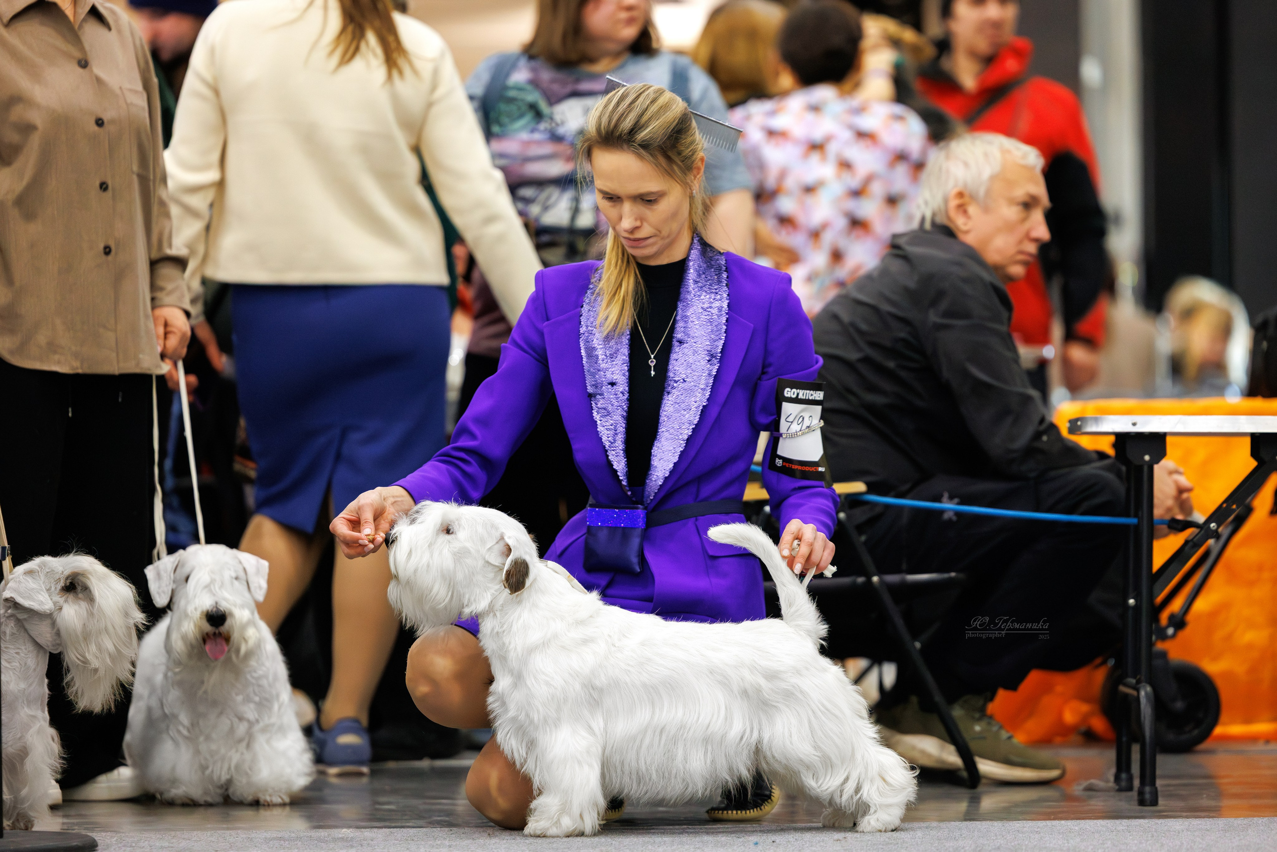 Питер 12-13.12.2025. Фотограф-анималист Юлия Германика