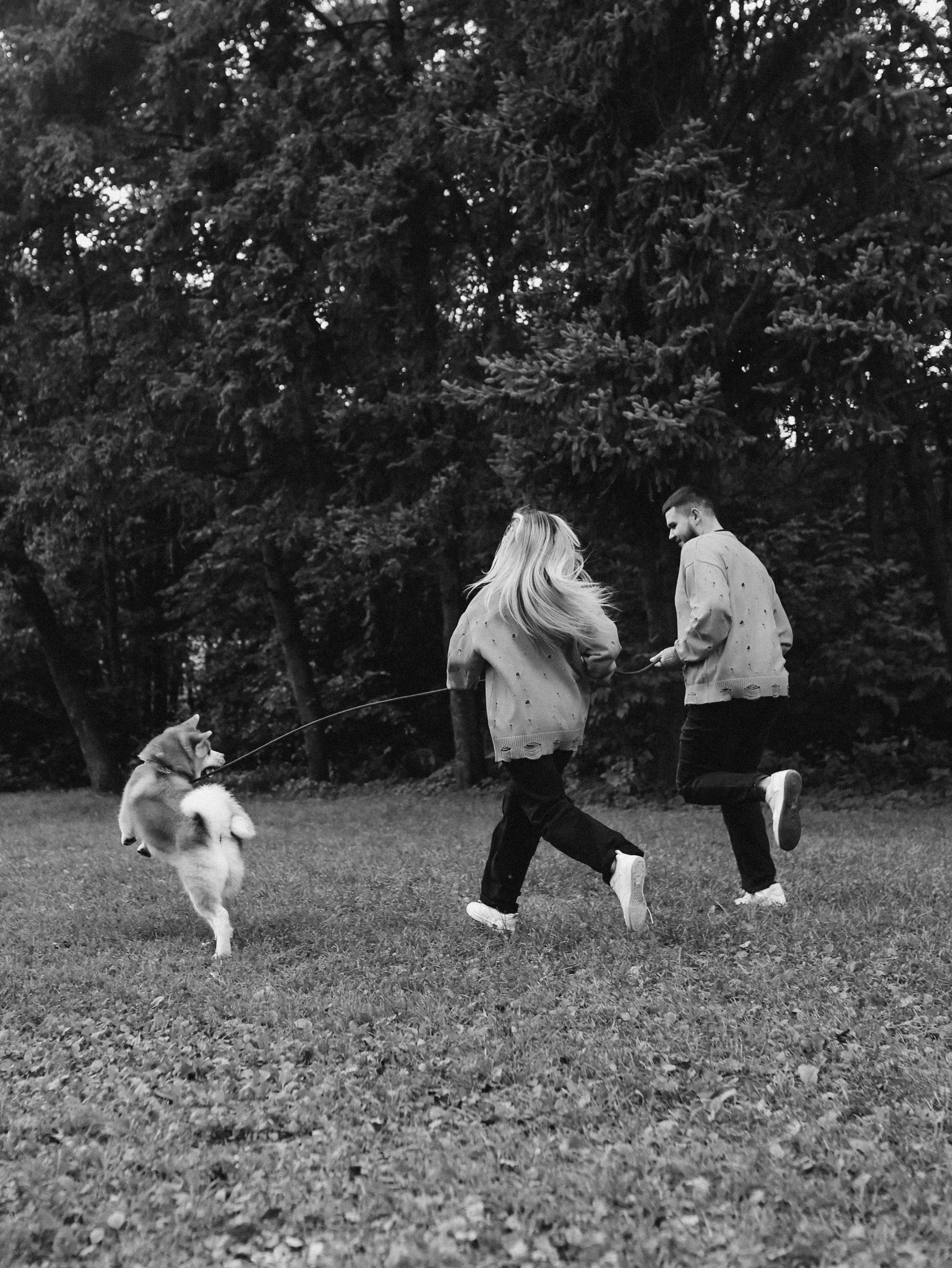 Гранд, Вика и Степан. Фотограф-анималист в Москве Кириллова Татьяна