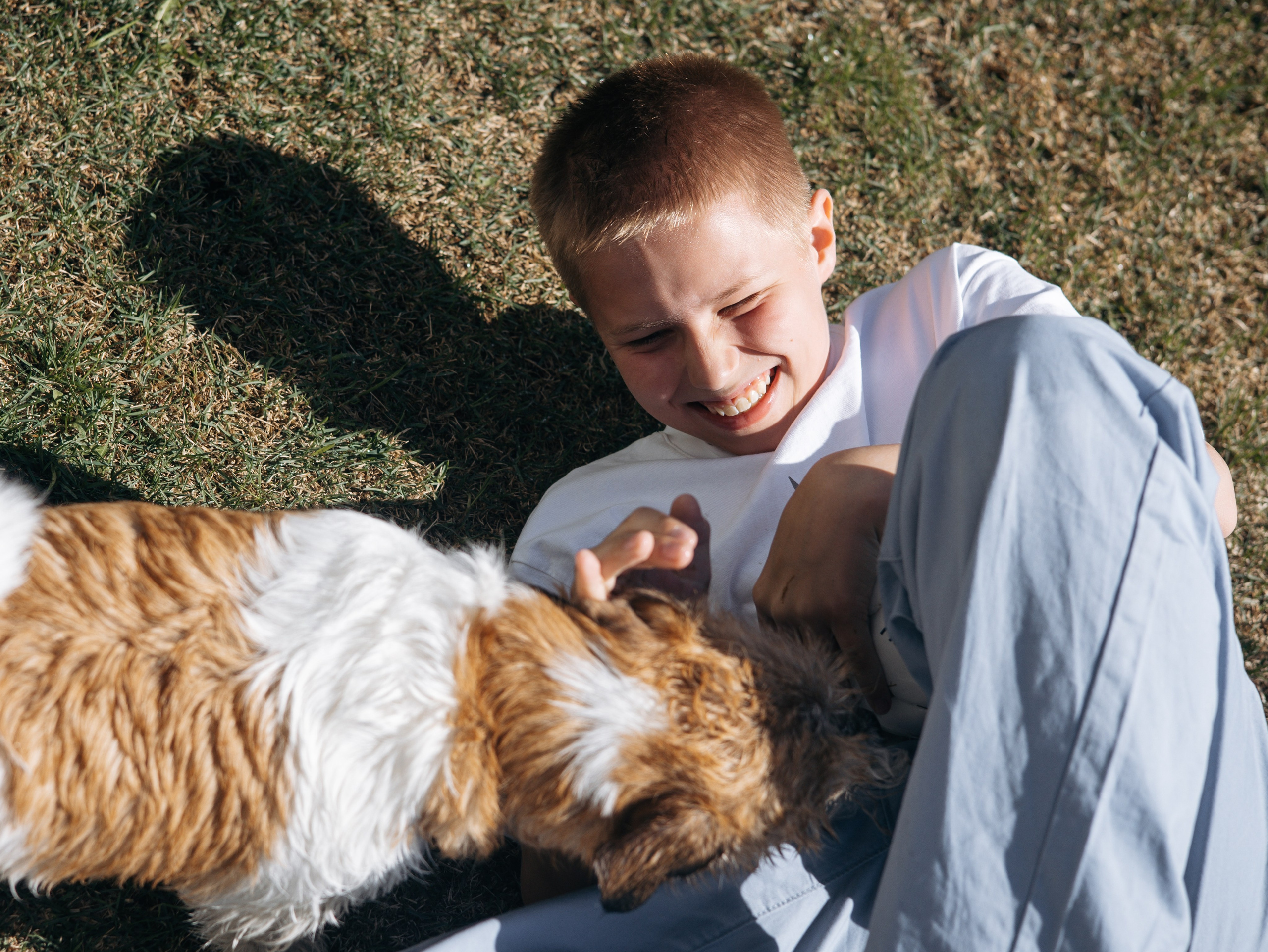День рождение Зенита. Фотограф-анималист в Москве Кириллова Татьяна
