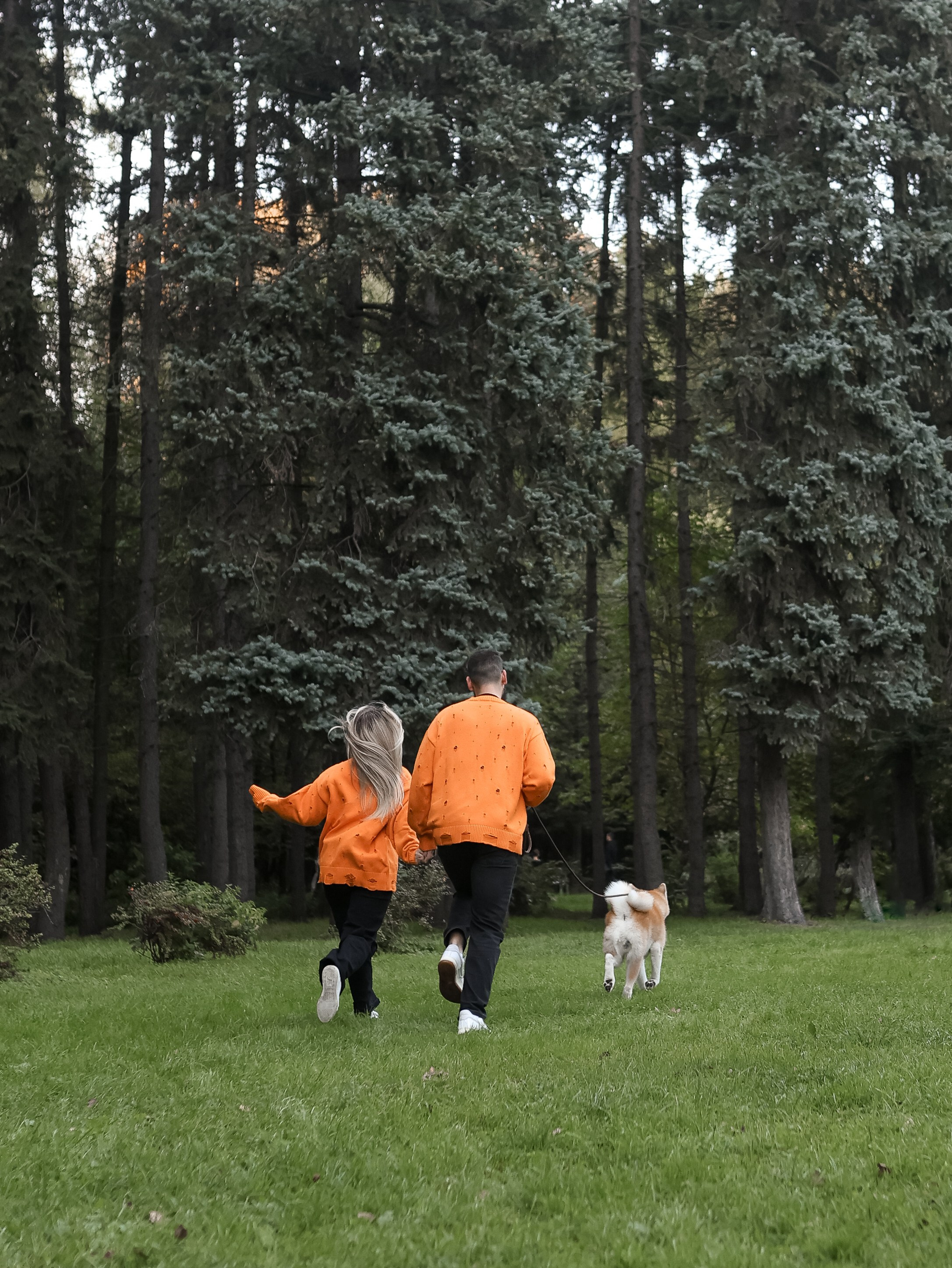 Гранд, Вика и Степан. Фотограф-анималист в Москве Кириллова Татьяна