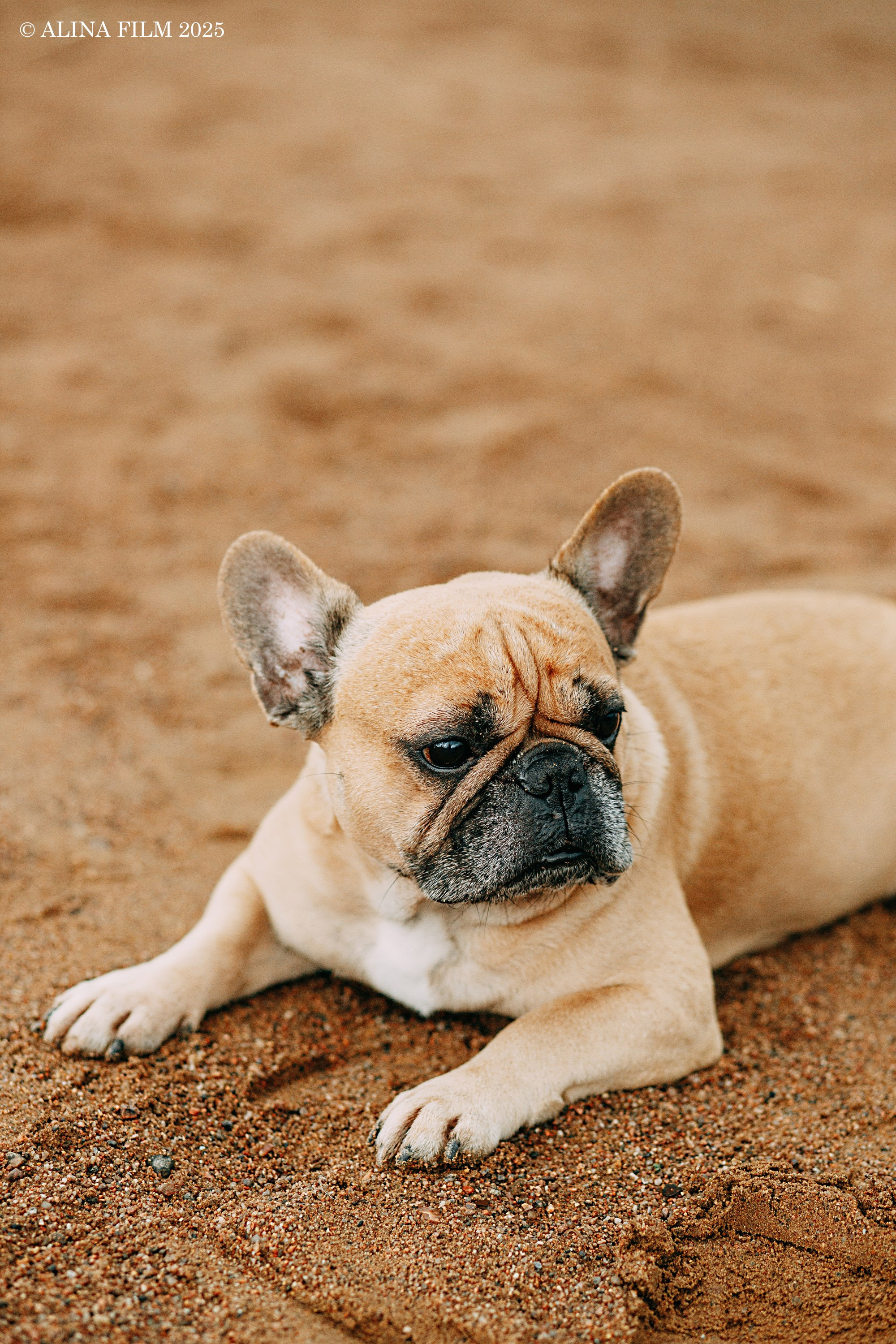 Фотосессия в дождь на Озерках. Фотограф в Санкт-Петербурге Alina Film