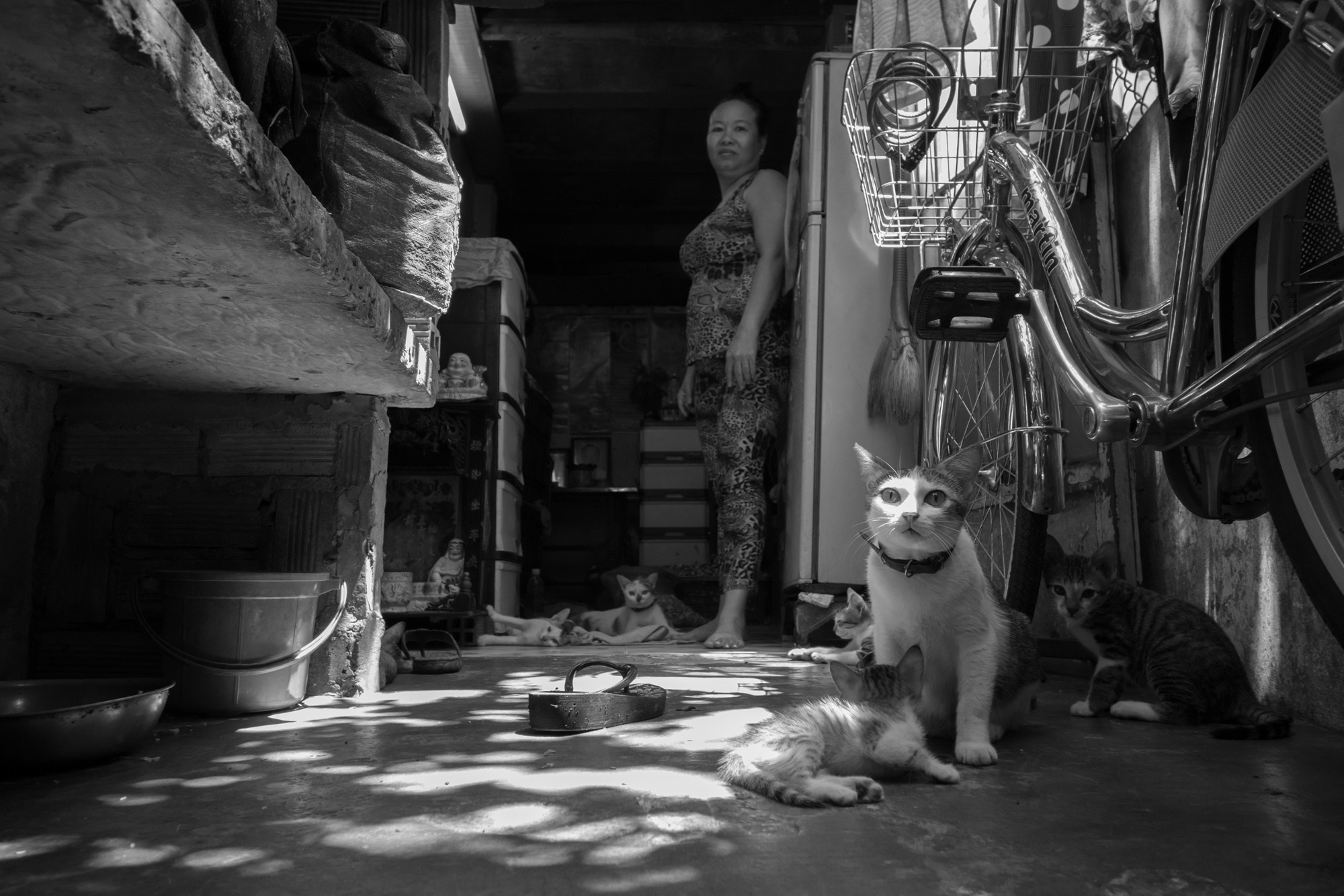 Чужие здесь не ходят. Сайгон, Вьетнам. Фотограф Алексей Скоробогатько