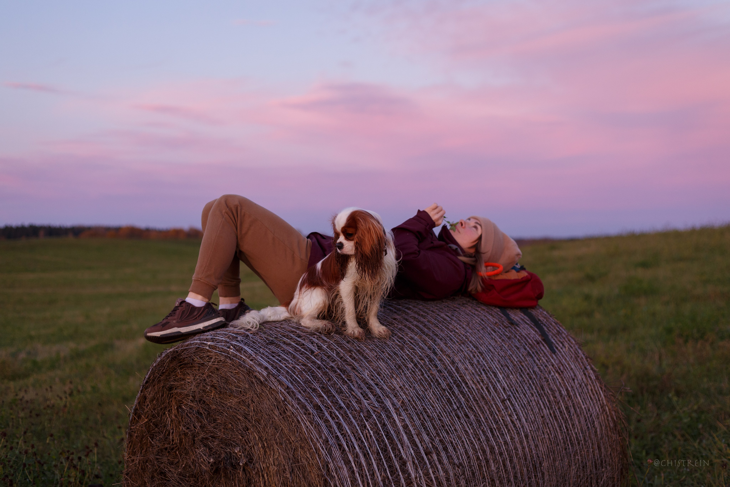 Октябрьский закат в полях. Алина и Лео. Фотограф-анималист Наталия Чистюхина в г. Сосновый Бор и ЛО