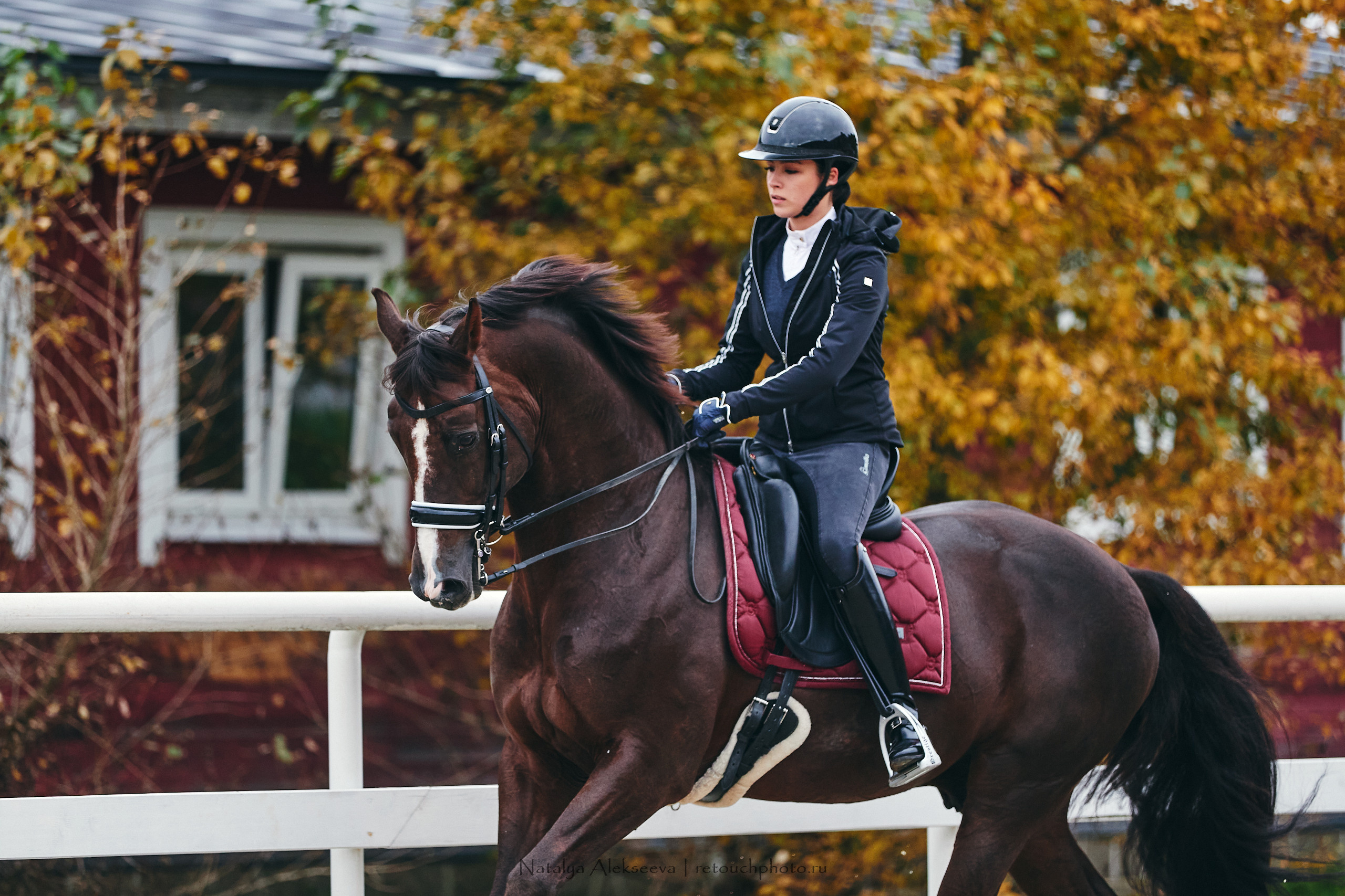 Алина и Étoile, КСК Отрада. Репортажный фотограф и ретушер в Москве Наталья Алексеева