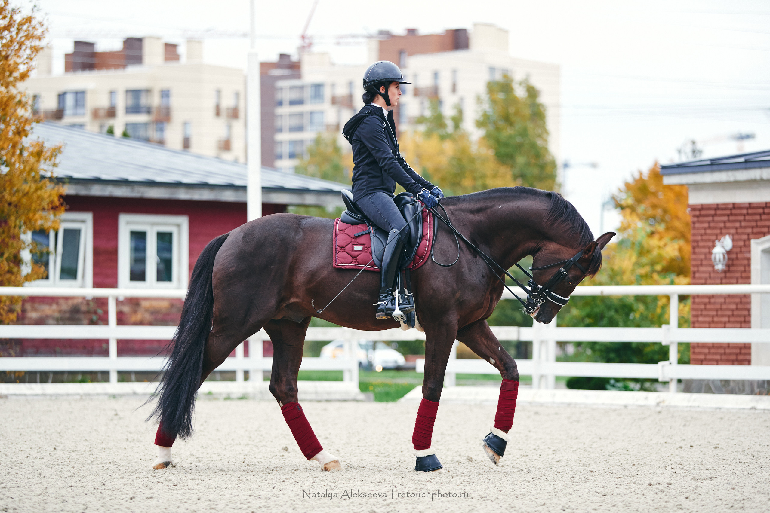 Алина и Étoile, КСК Отрада. Репортажный фотограф и ретушер в Москве Наталья Алексеева