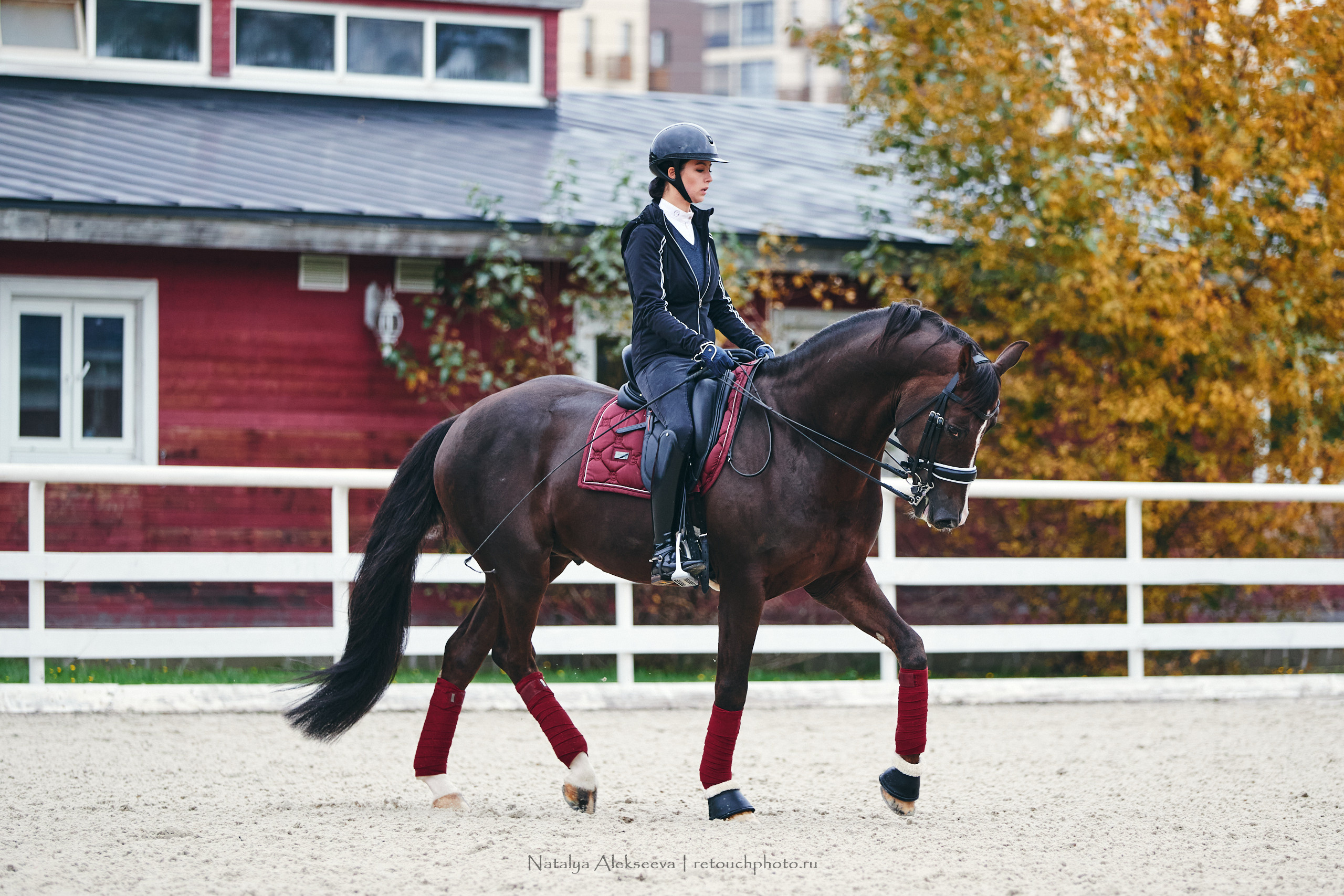 Алина и Étoile, КСК Отрада. Репортажный фотограф и ретушер в Москве Наталья Алексеева