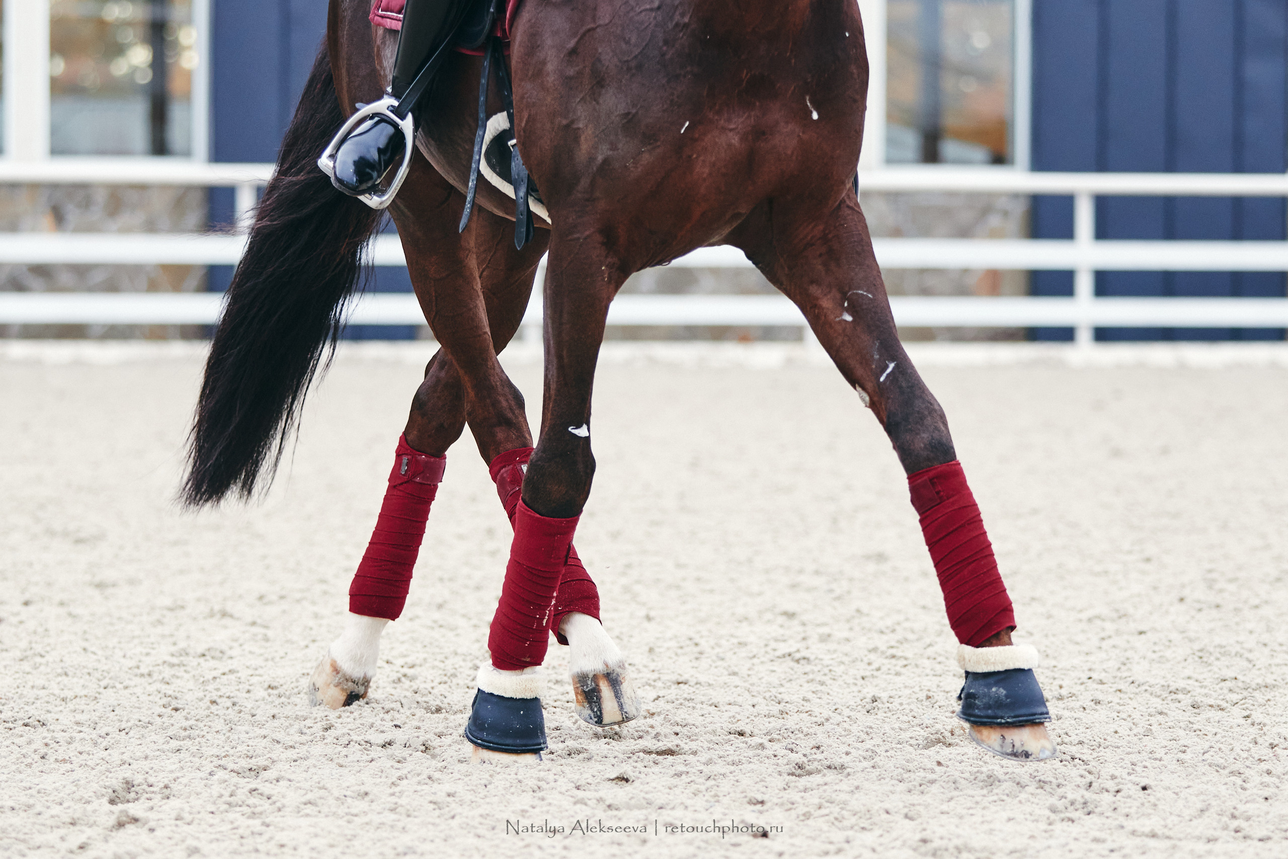Алина и Étoile, КСК Отрада. Репортажный фотограф и ретушер в Москве Наталья Алексеева