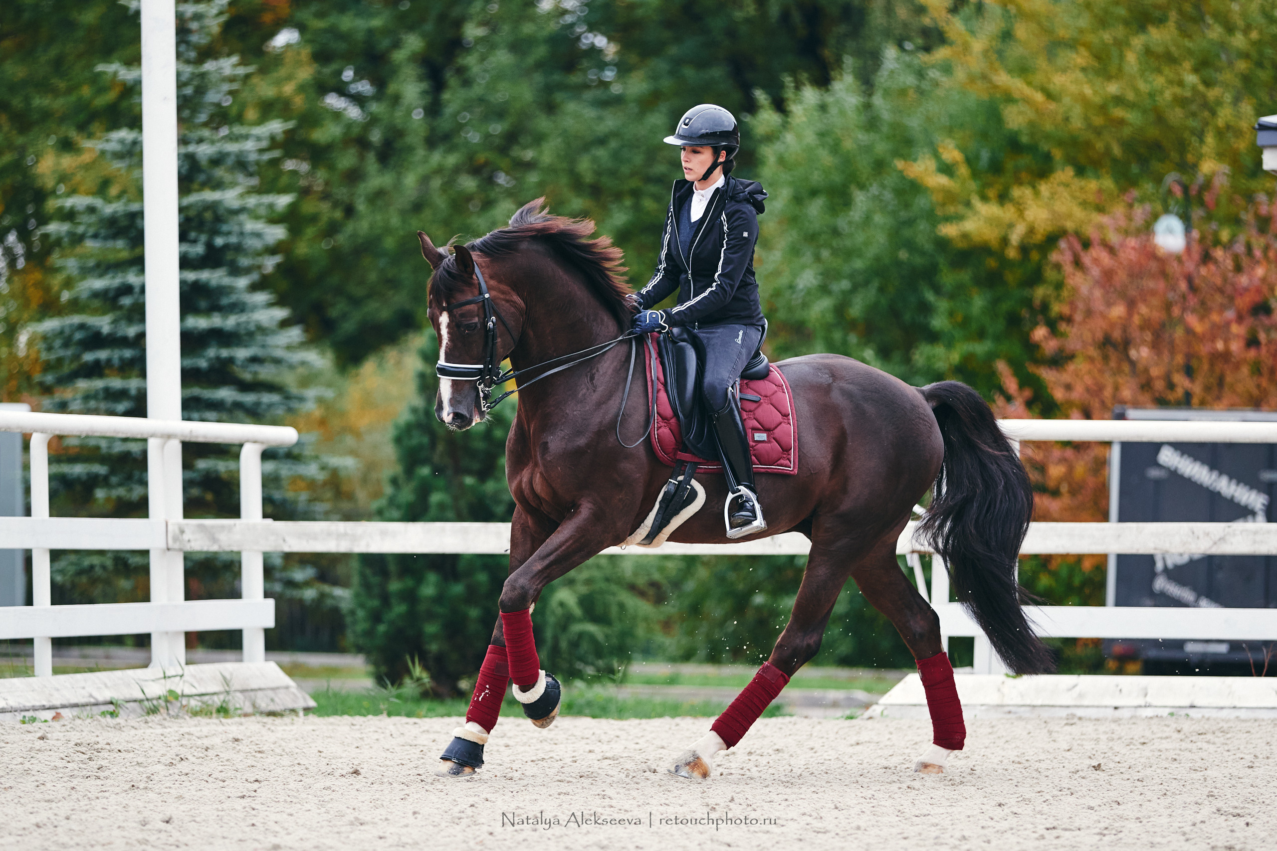 Алина и Étoile, КСК Отрада. Репортажный фотограф и ретушер в Москве Наталья Алексеева