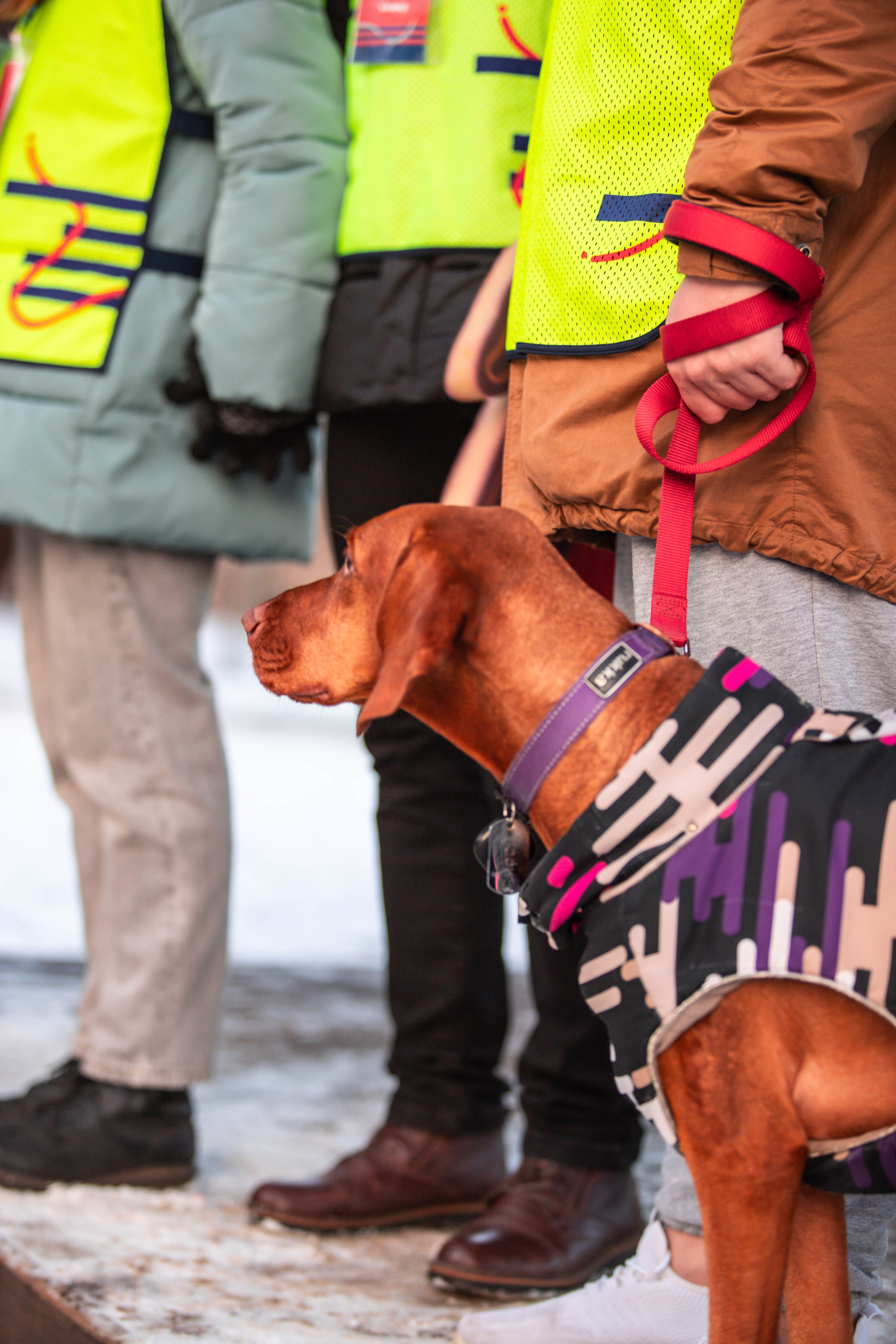 5 верст_Бабушкинская. Александра Мельниченко/ Бегающий фотограф