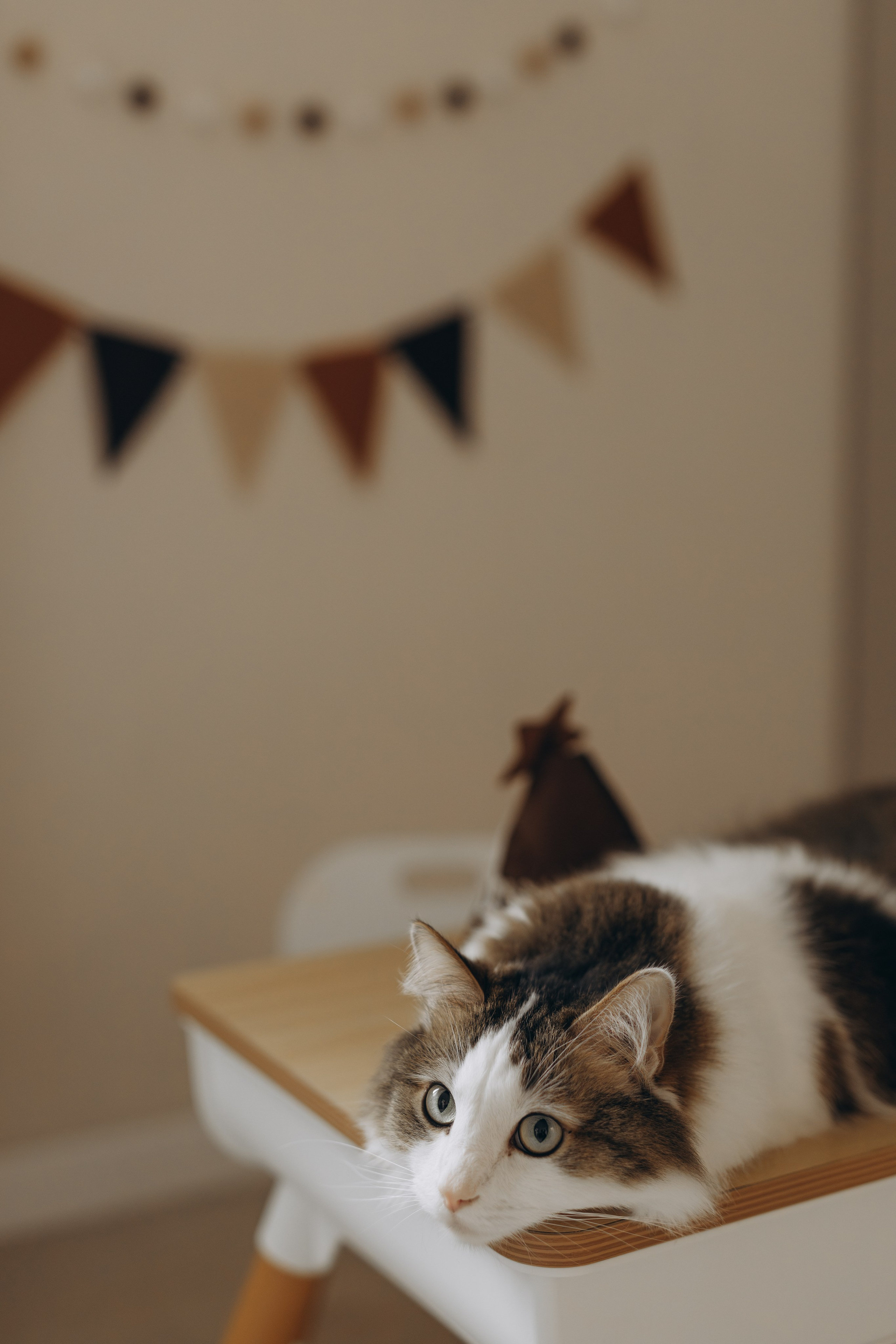 Милаше 2!. Фотограф Людмила Оюн