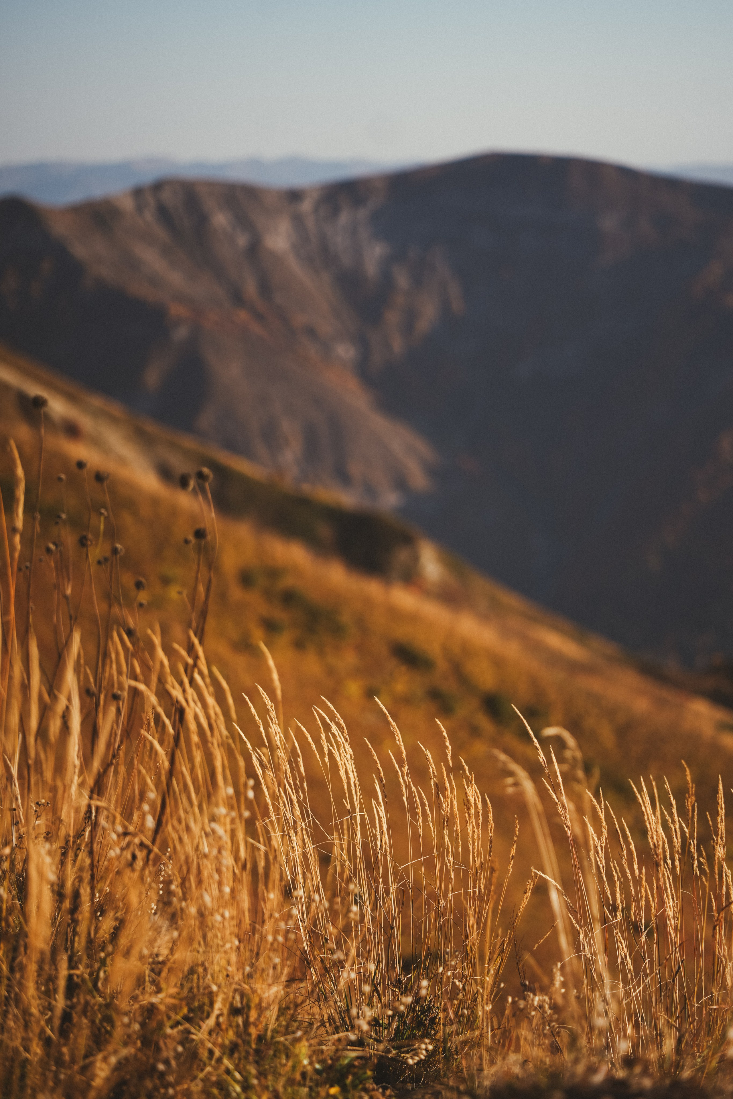 Роза Пик, тропа Турья ✽ Октябрь. Репортажный фотограф | Роза Хутор Красная Поляна Сочи Сириус