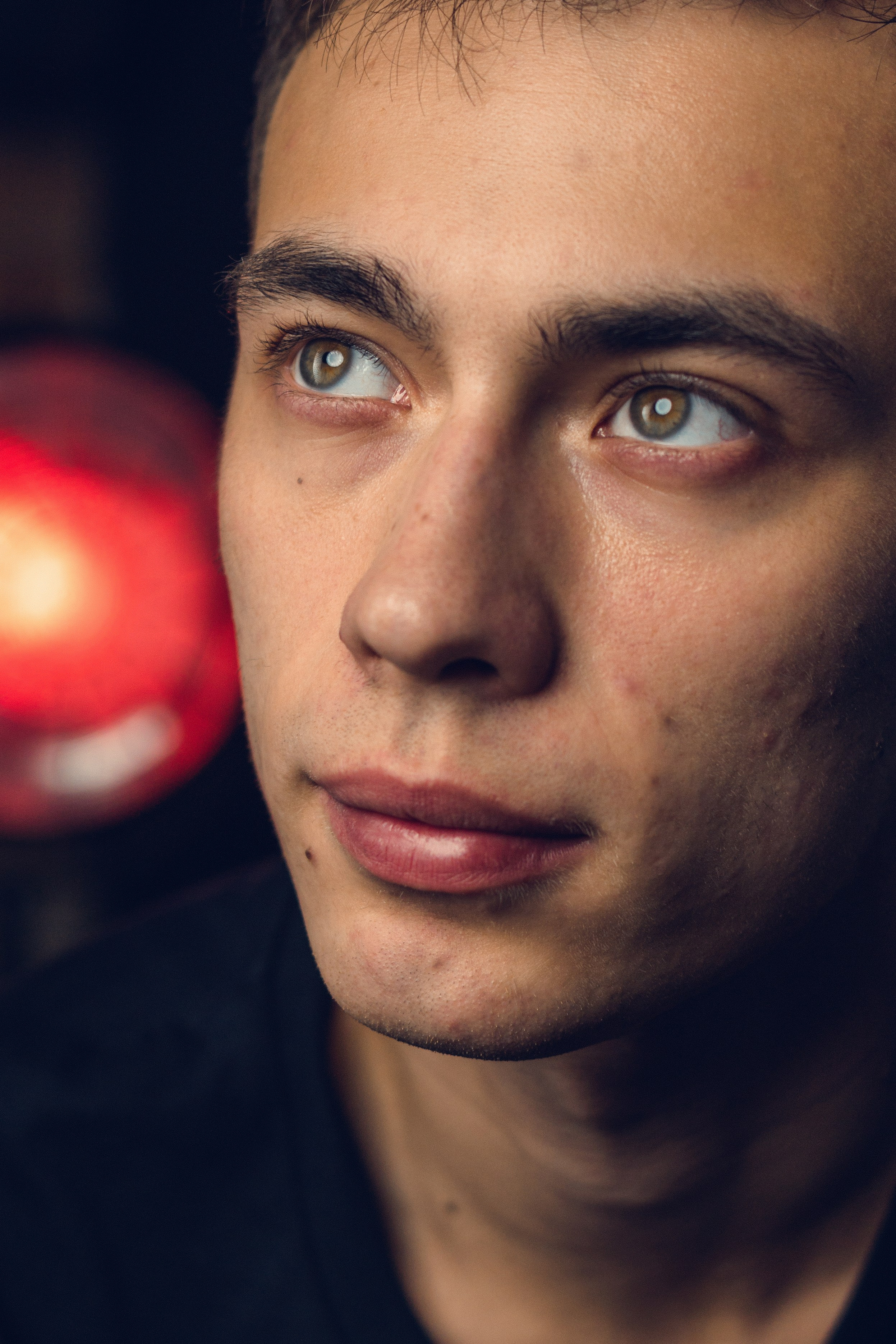 Лев. Фотограф в Томске Светлана Нестерова