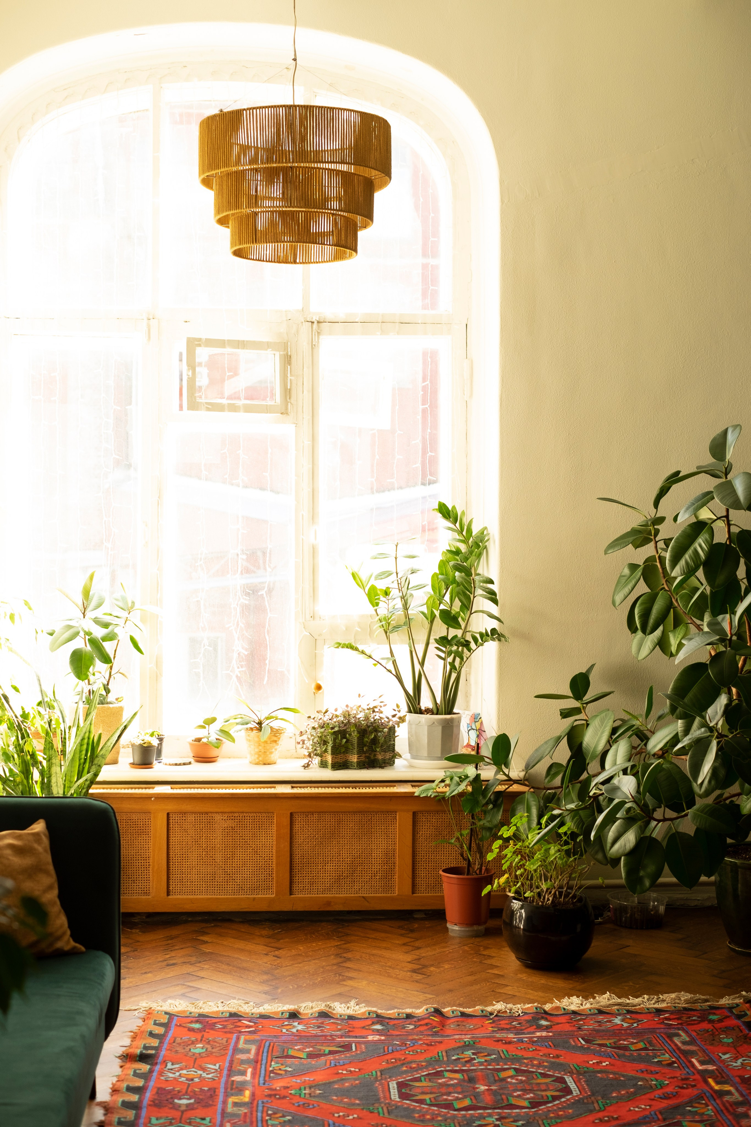 Фотограф в Раменском, фотостудия в Раменском. Фототерапия «Пульс СЧАСТЬЯ»