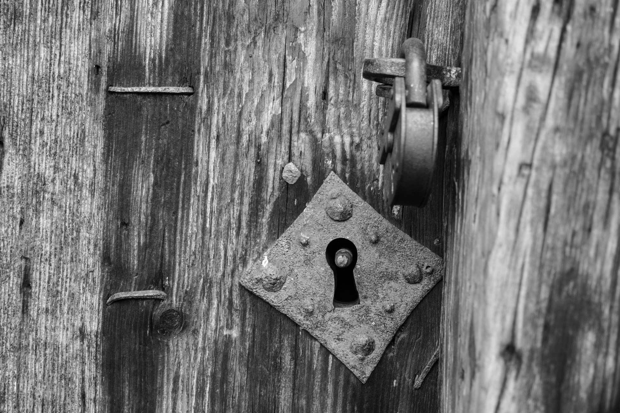 Новгород. Фотограф Алексей Скоробогатько