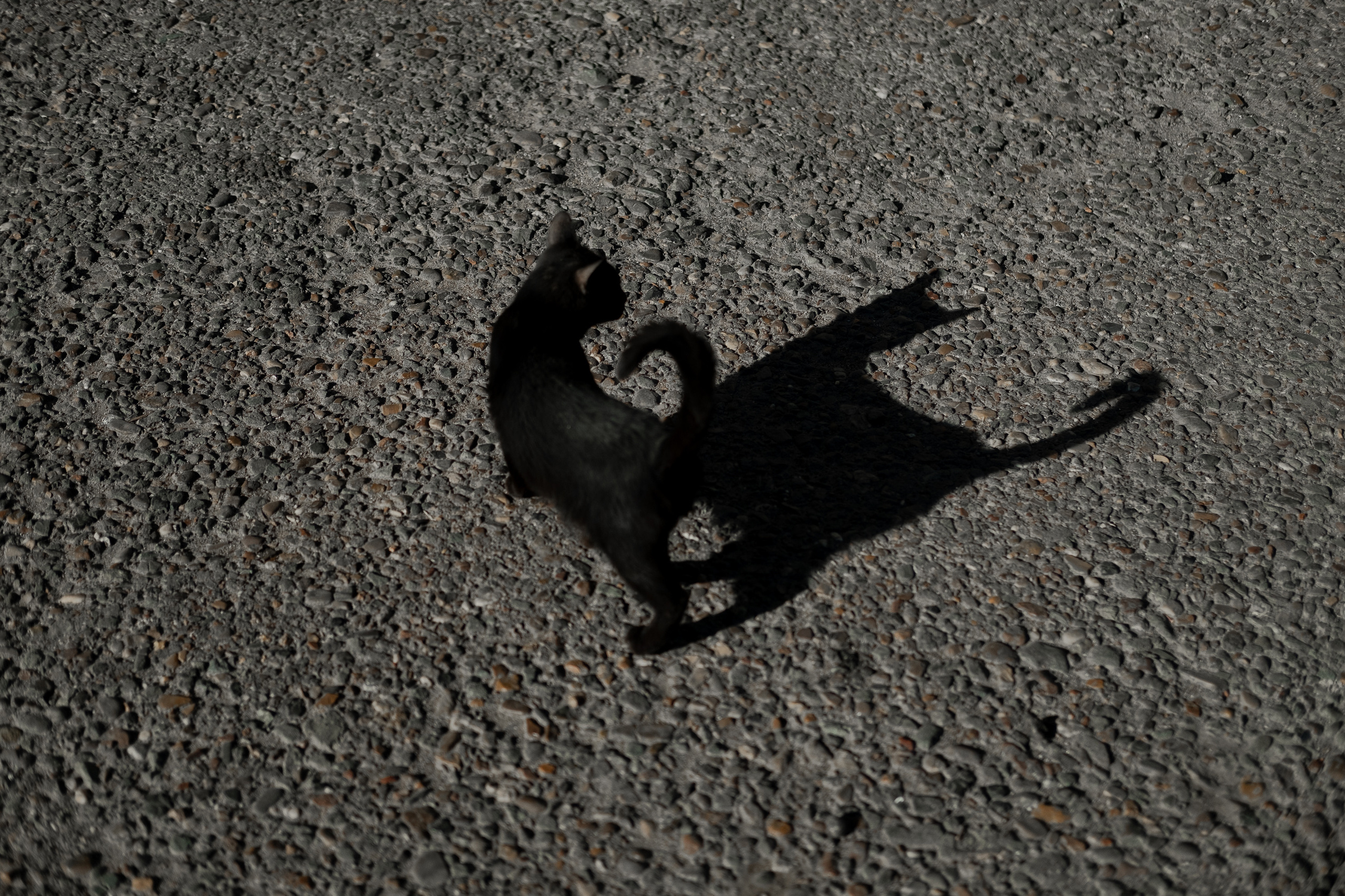 Свадьба в октябре. Фотограф Ёля Ильясова Оренбург