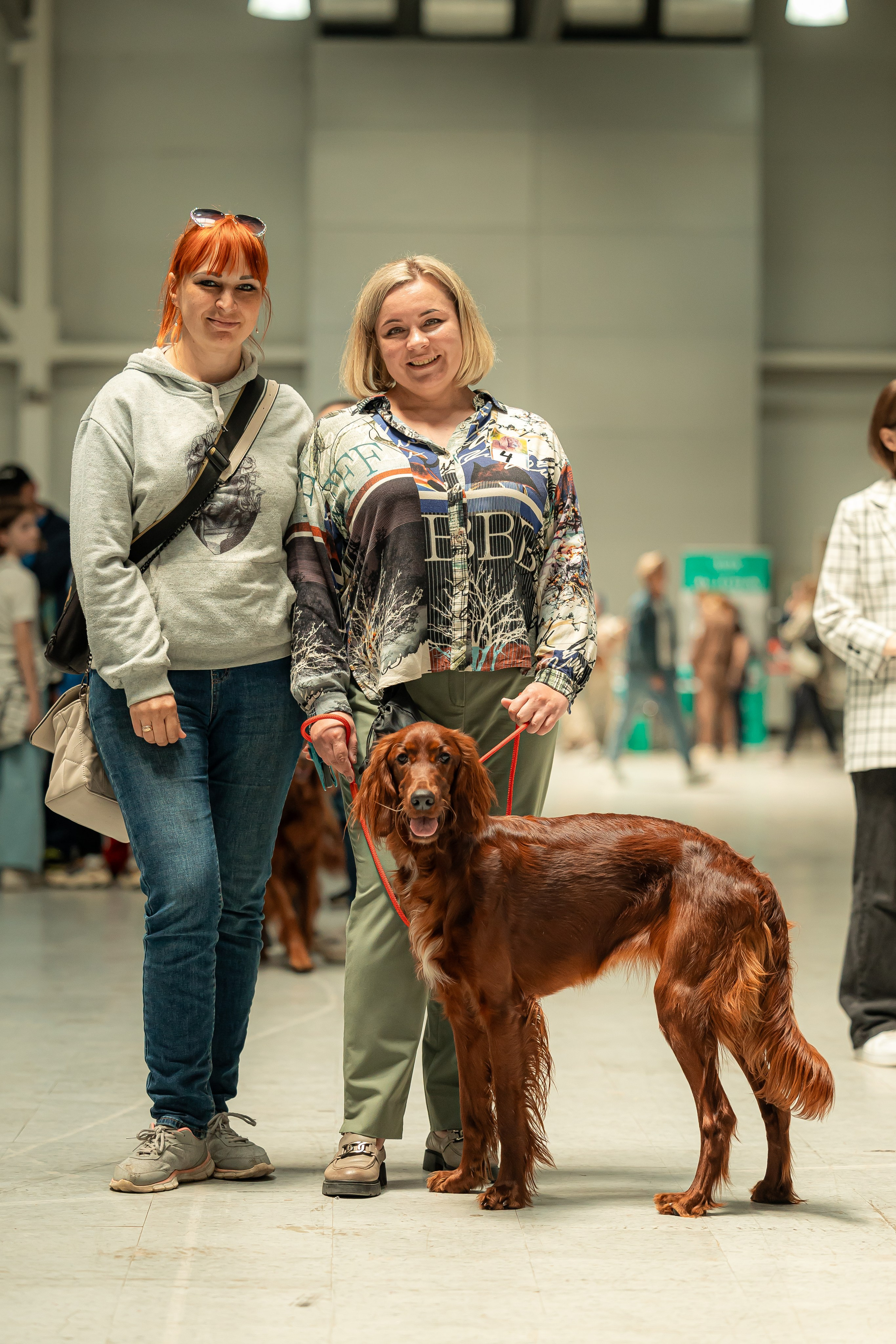 Выставка сеттеров 19.05.24