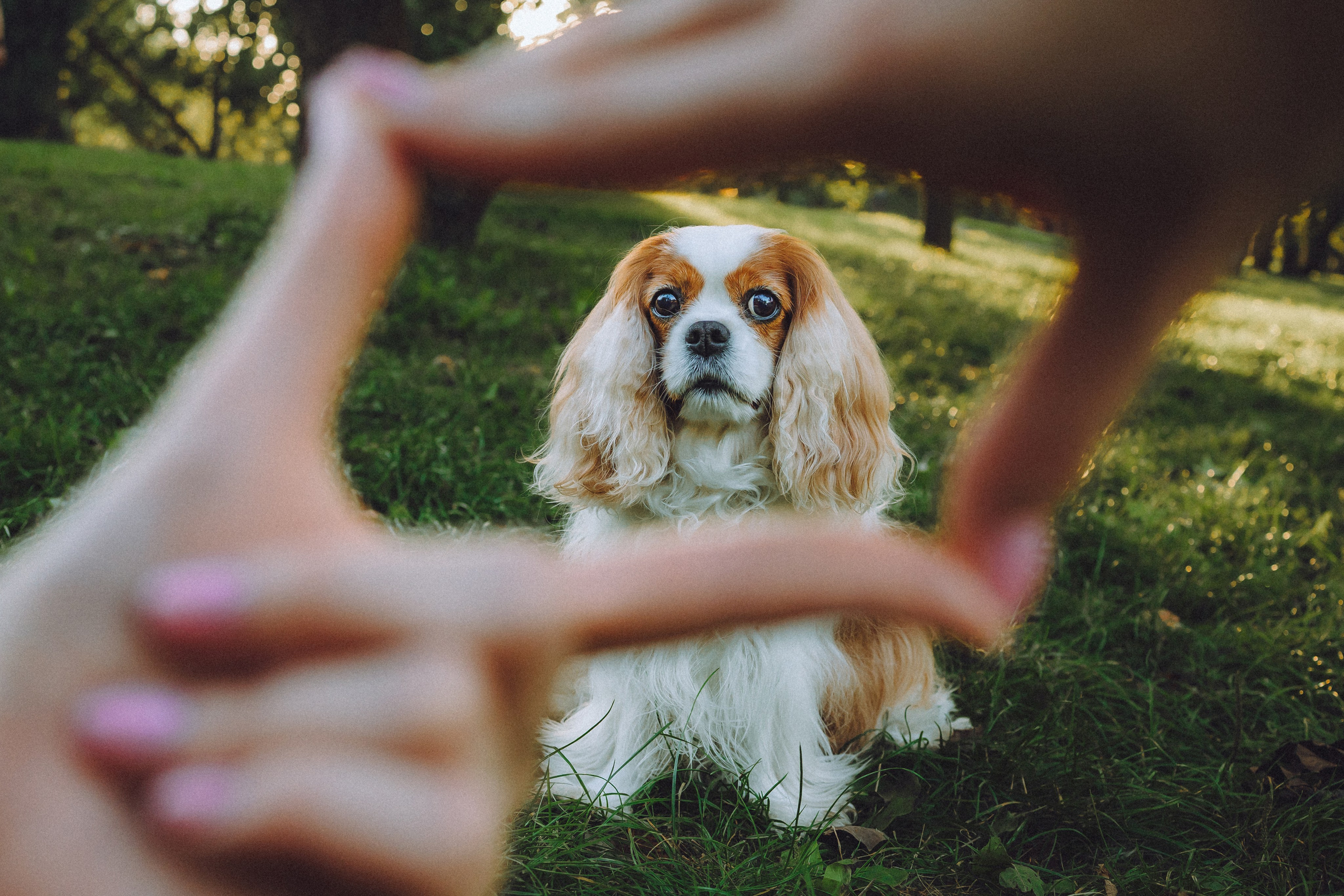 Наташа и Вики