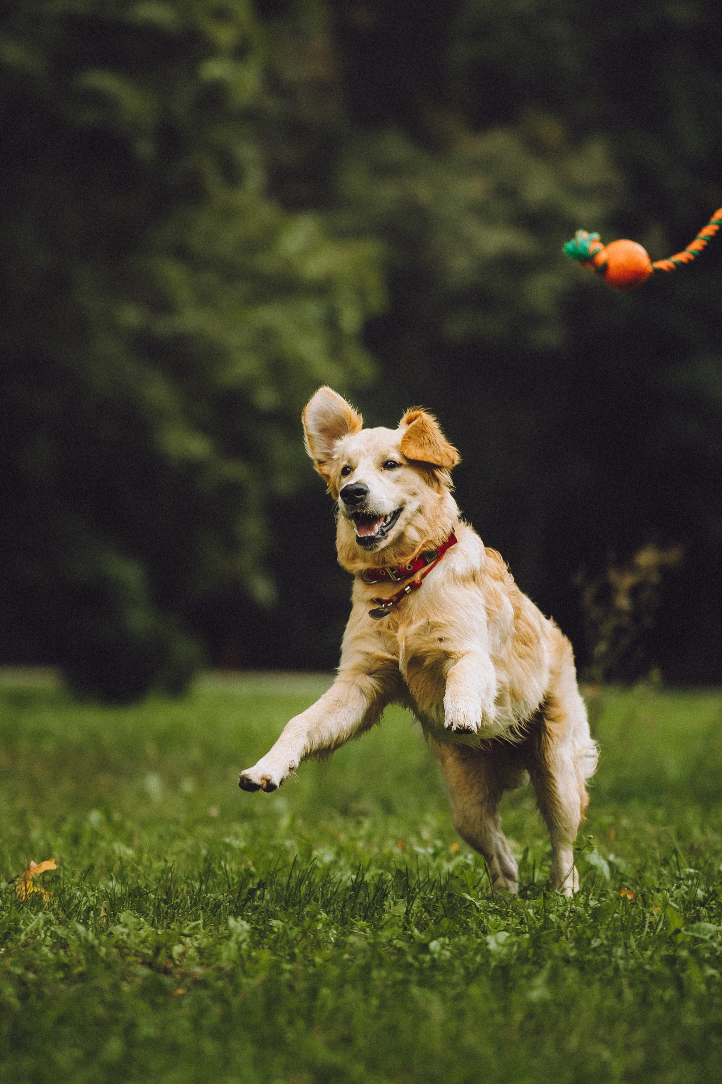 Алена и Лея