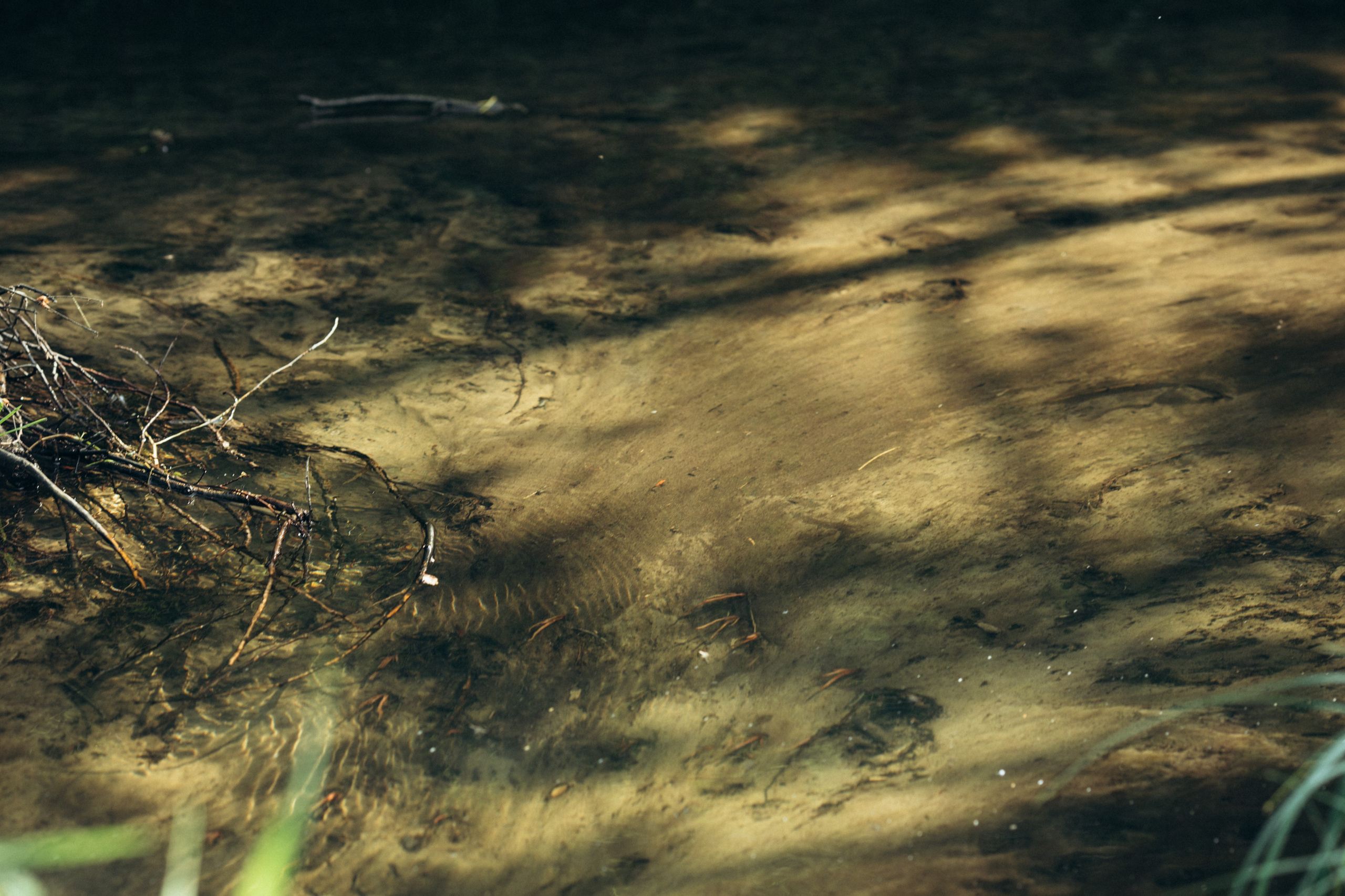 Природные пейзажи. Наталия Клевинскас портретный фотограф в Костроме