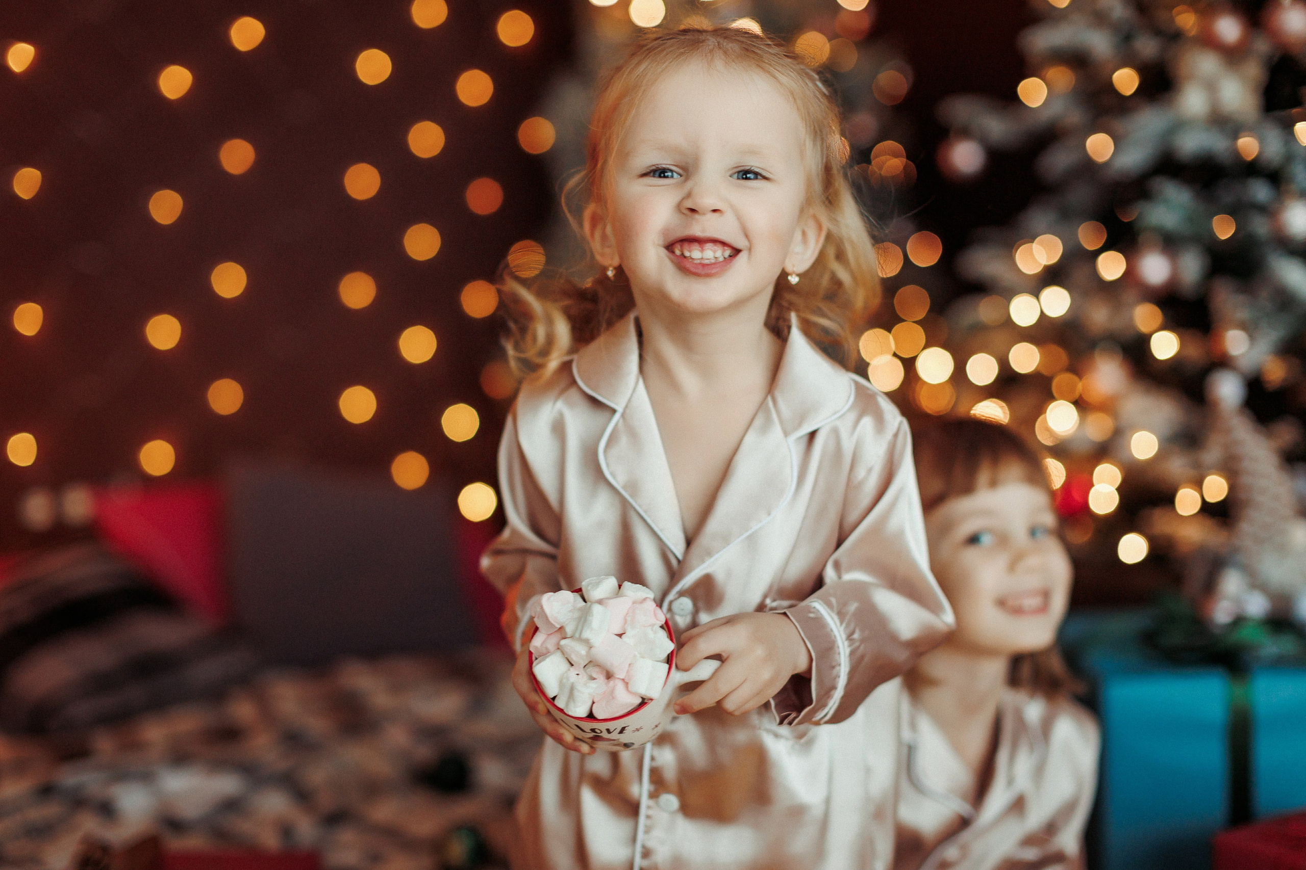 Новогодние. Свадебный, семейный и детский фотограф в городе Партизанск, Находка